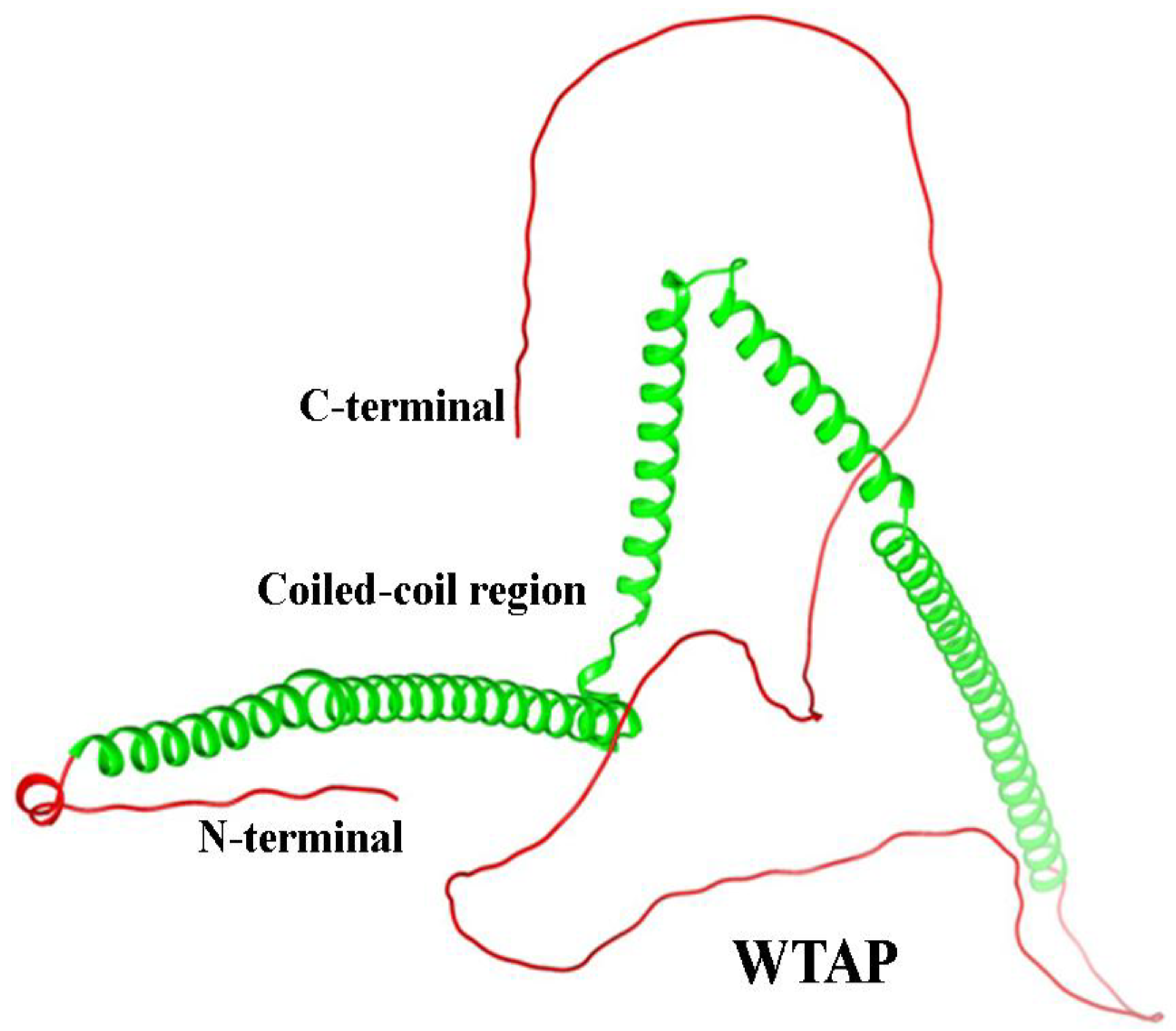 Preprints 158299 g005