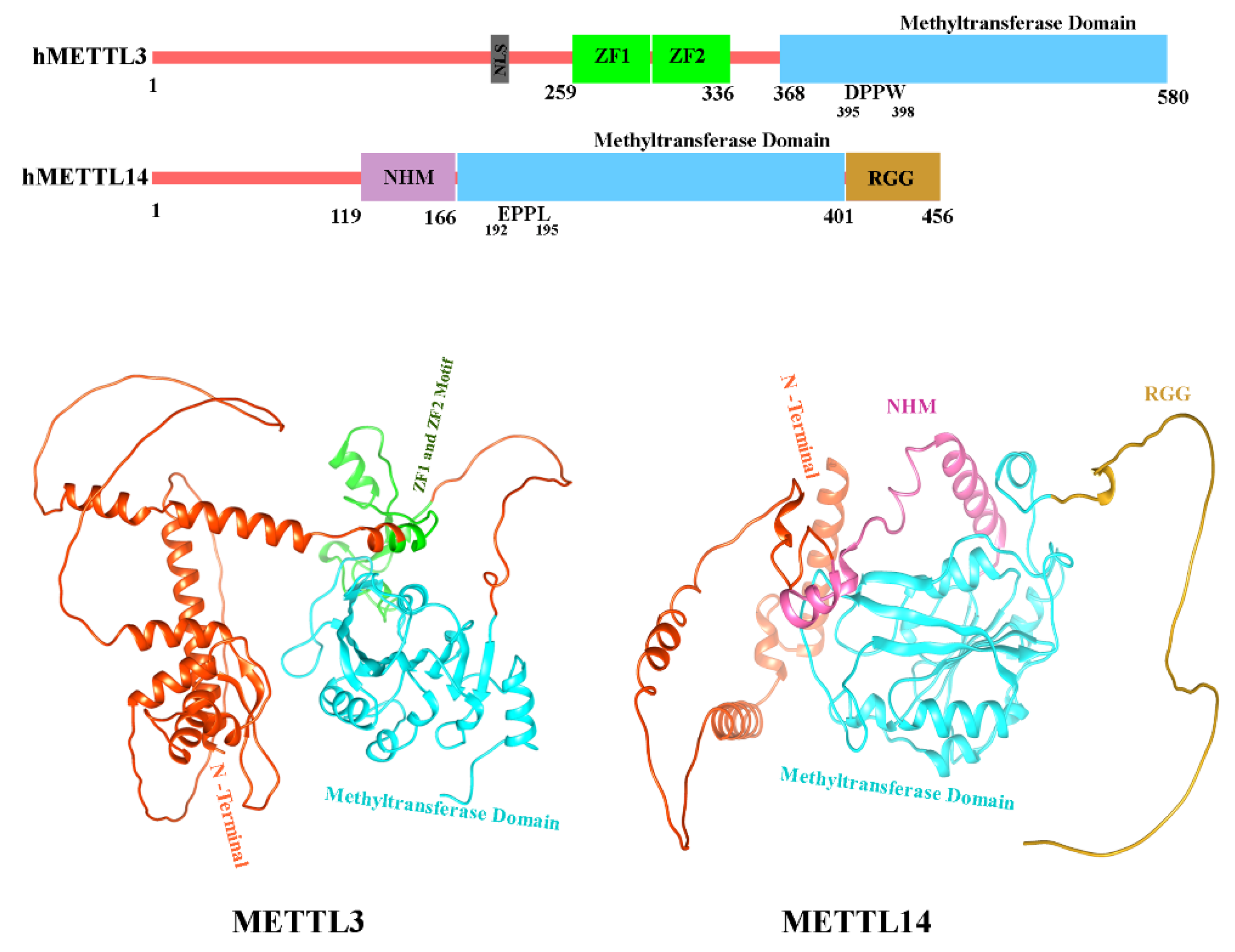 Preprints 158299 g006