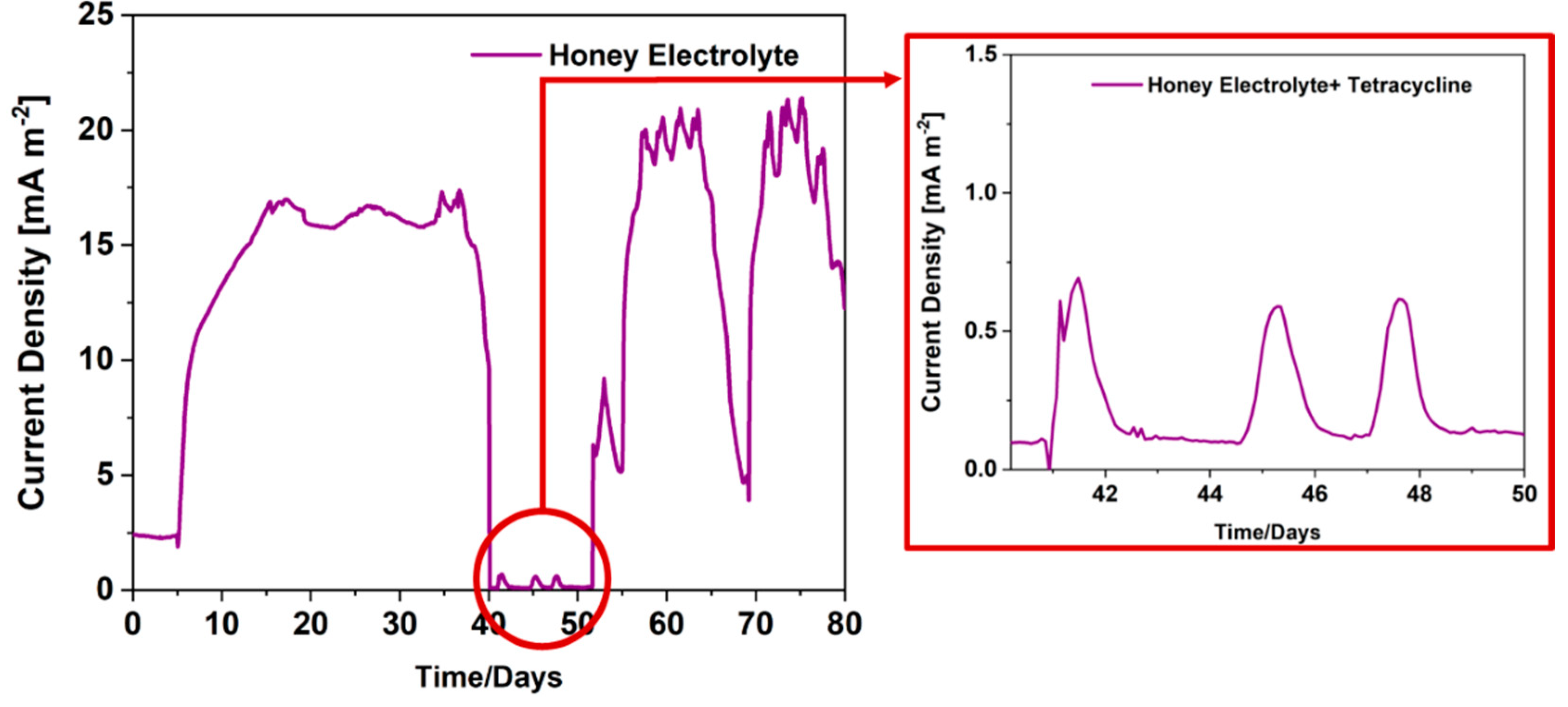 Preprints 86555 g002