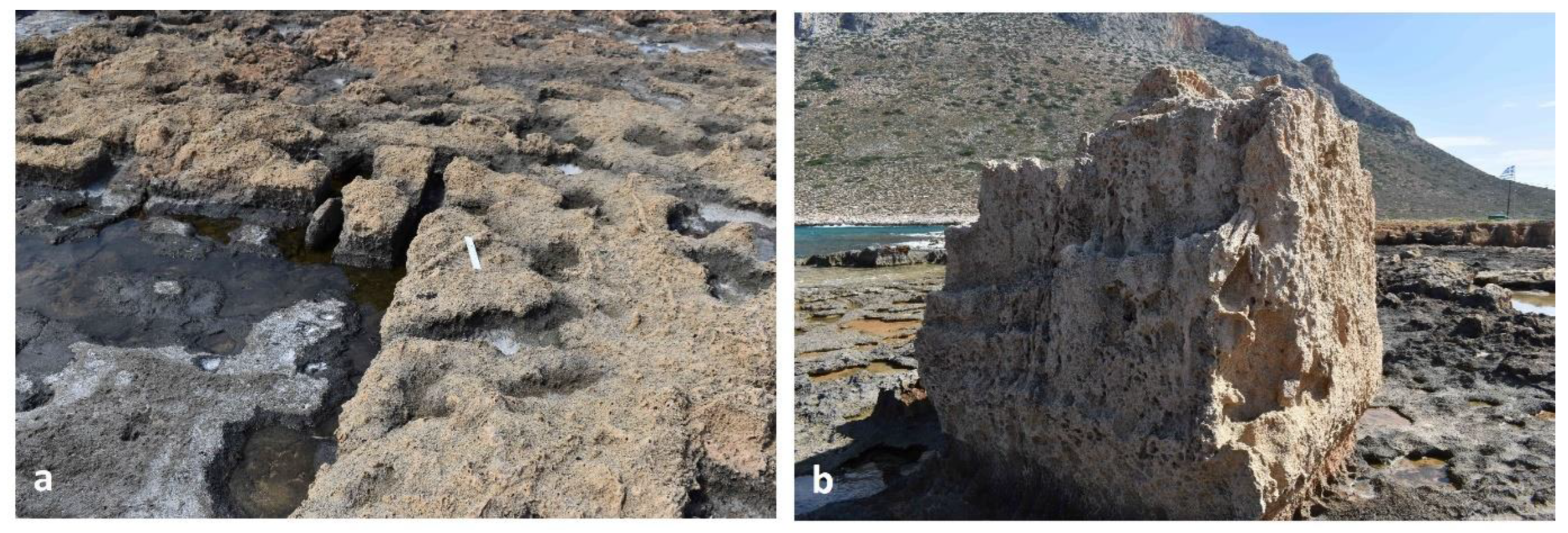 Preprints 156842 g004