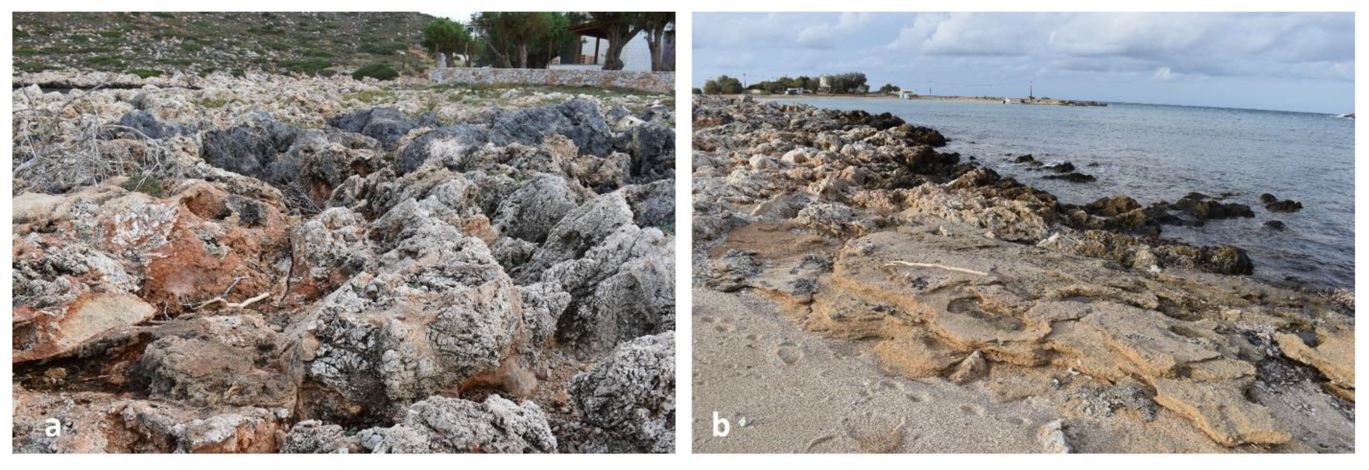 Preprints 156842 g005