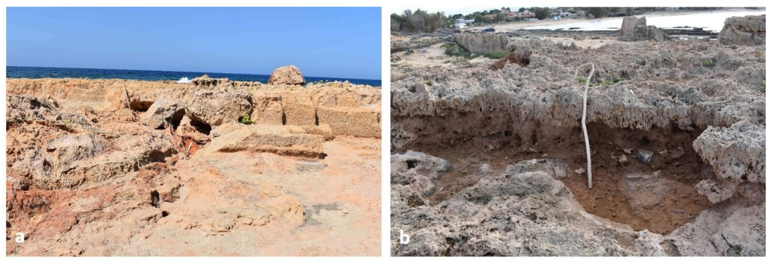 Preprints 156842 g006