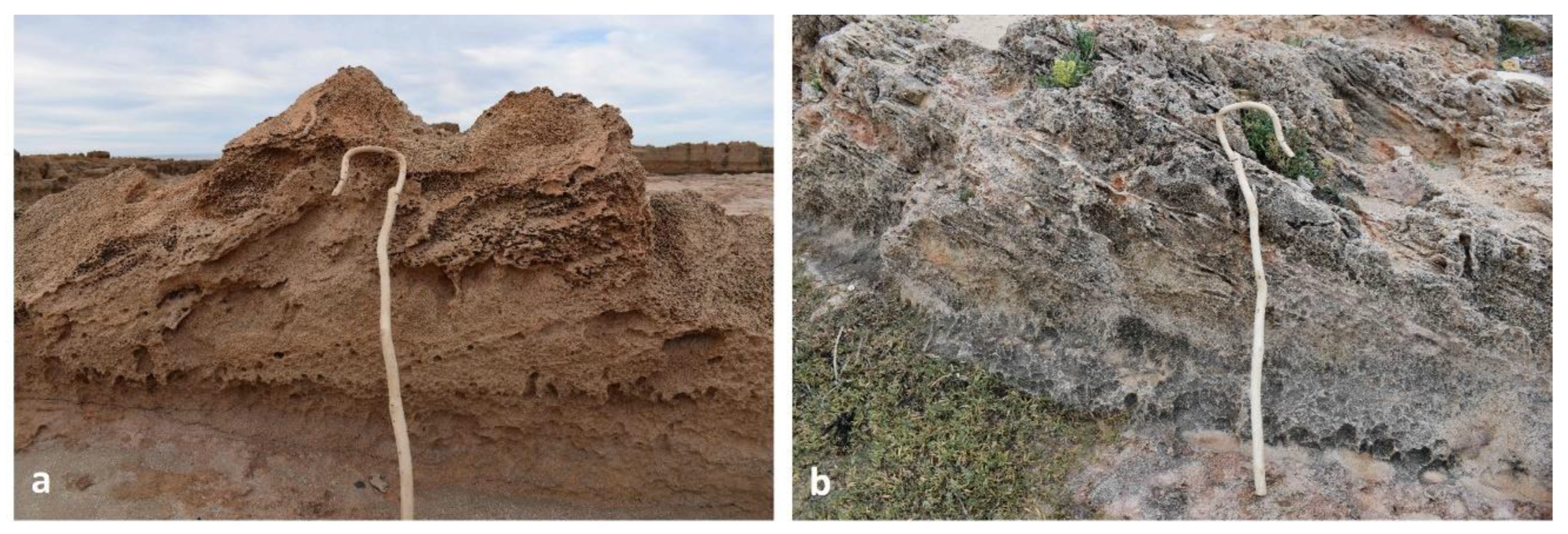 Preprints 156842 g007