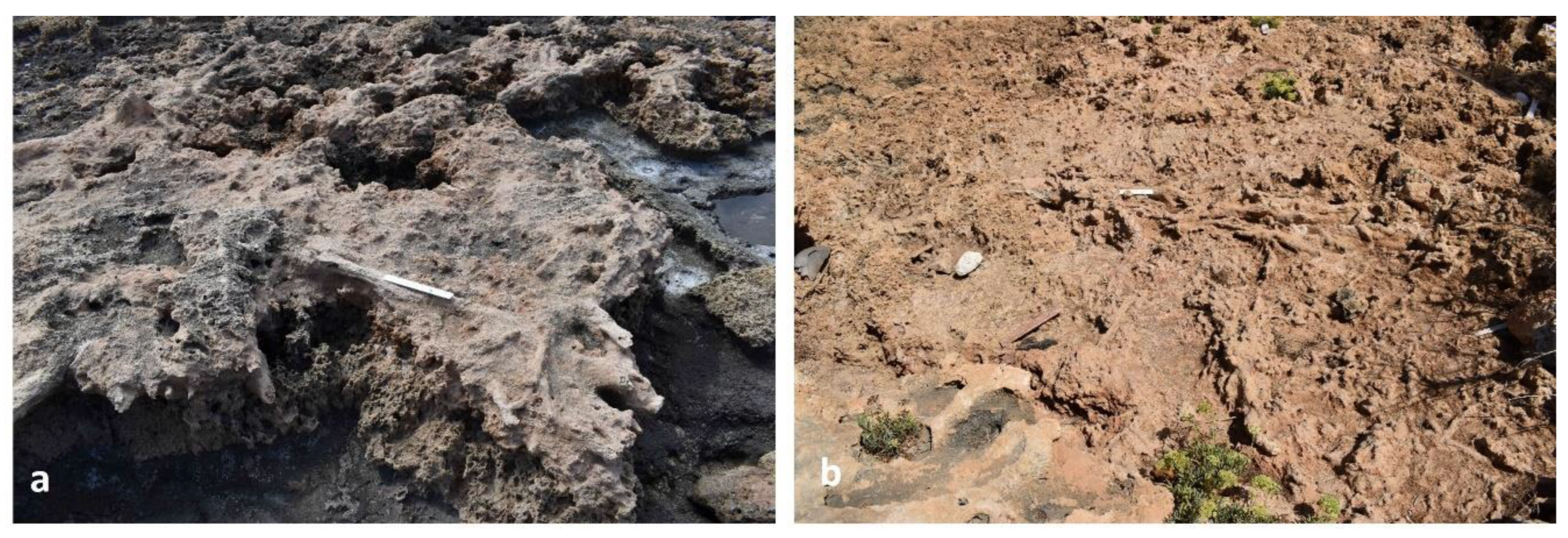 Preprints 156842 g008