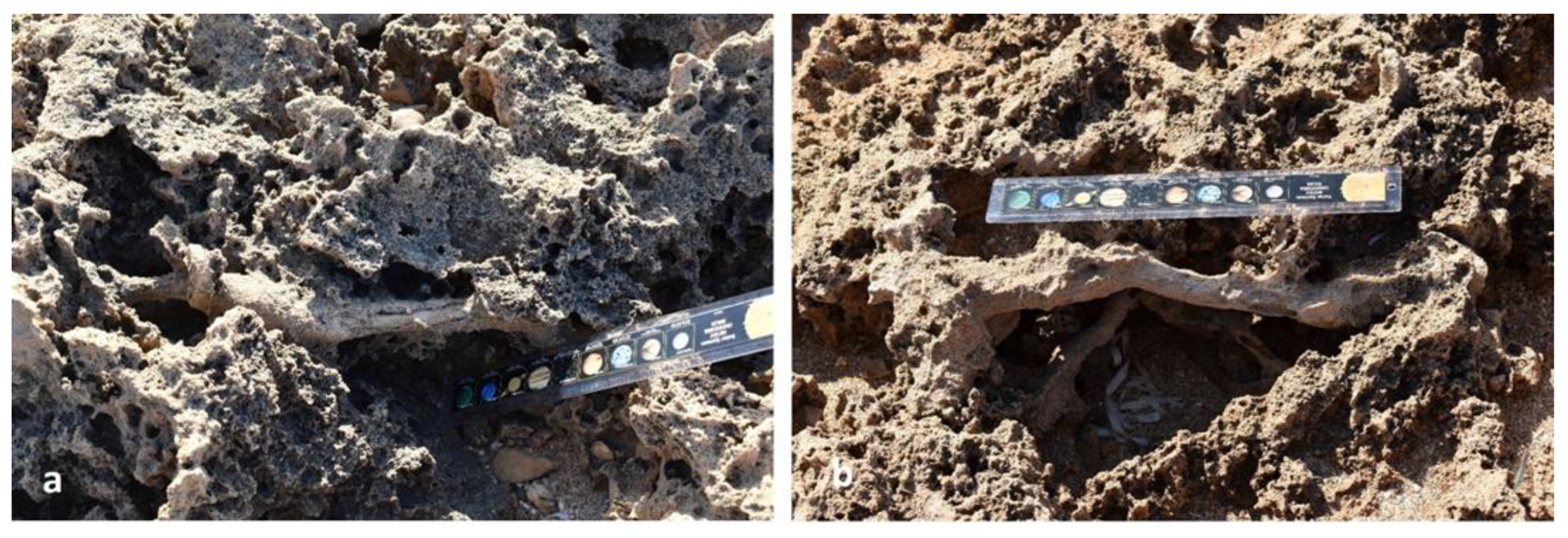 Preprints 156842 g009