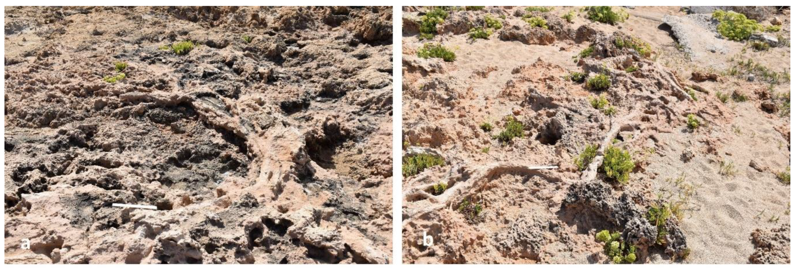 Preprints 156842 g010