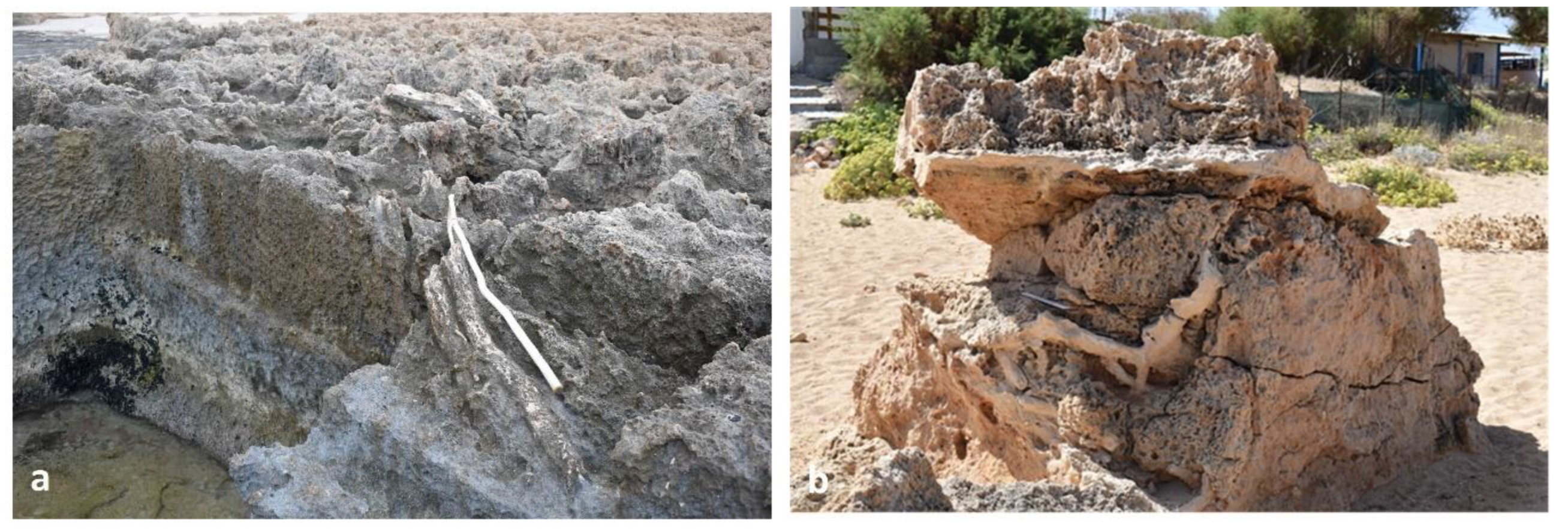 Preprints 156842 g011