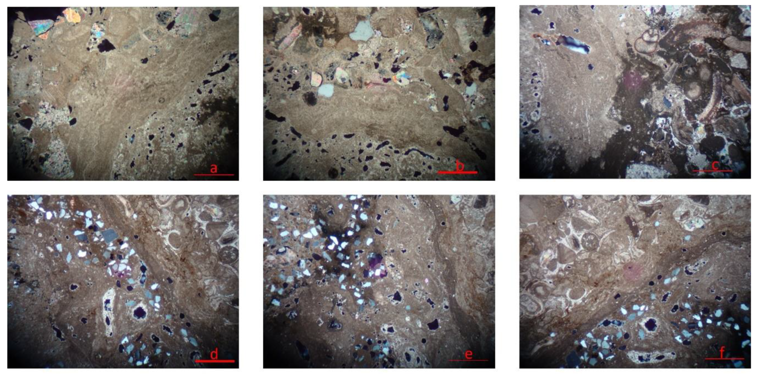 Preprints 156842 g012