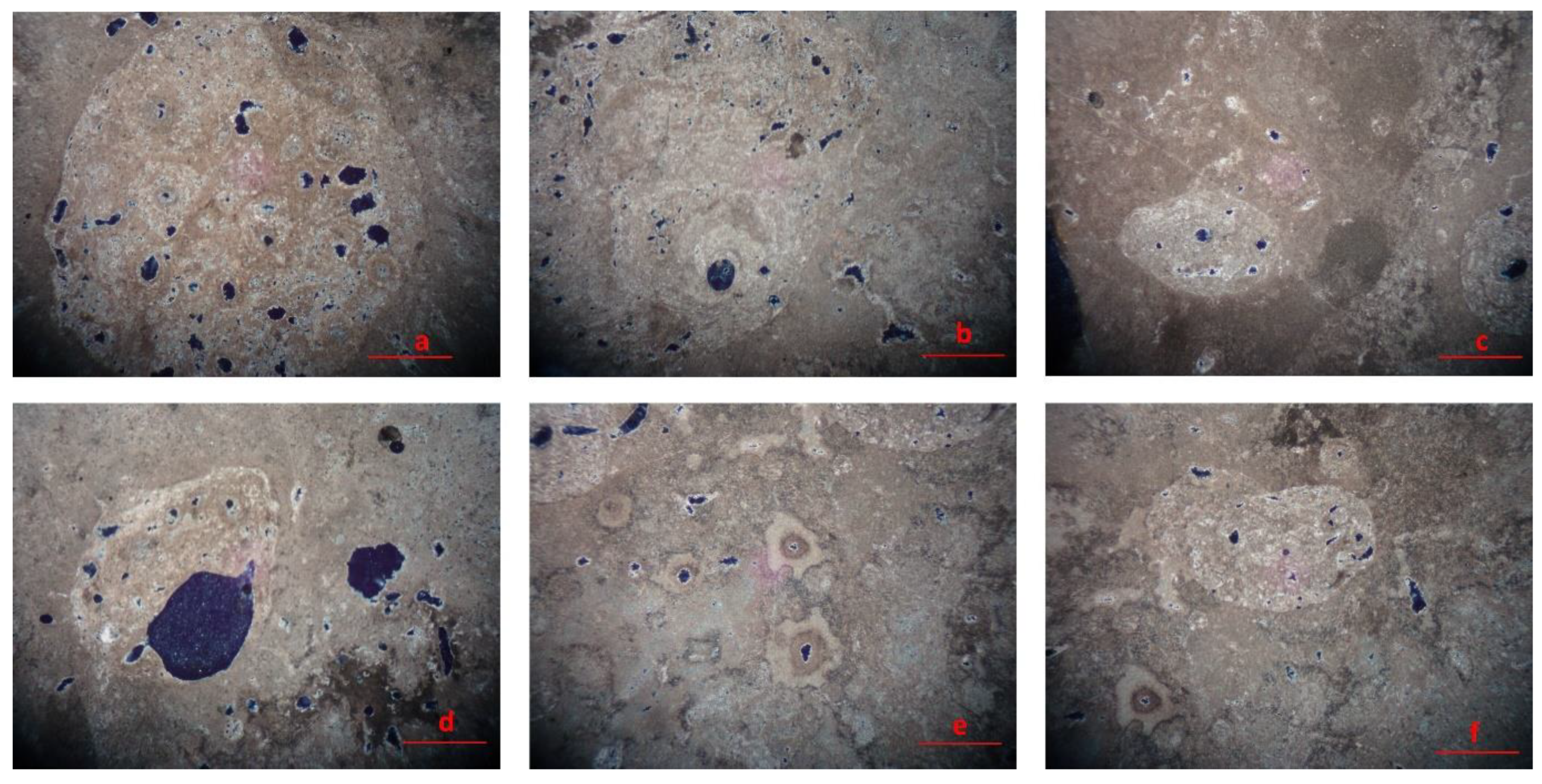 Preprints 156842 g013