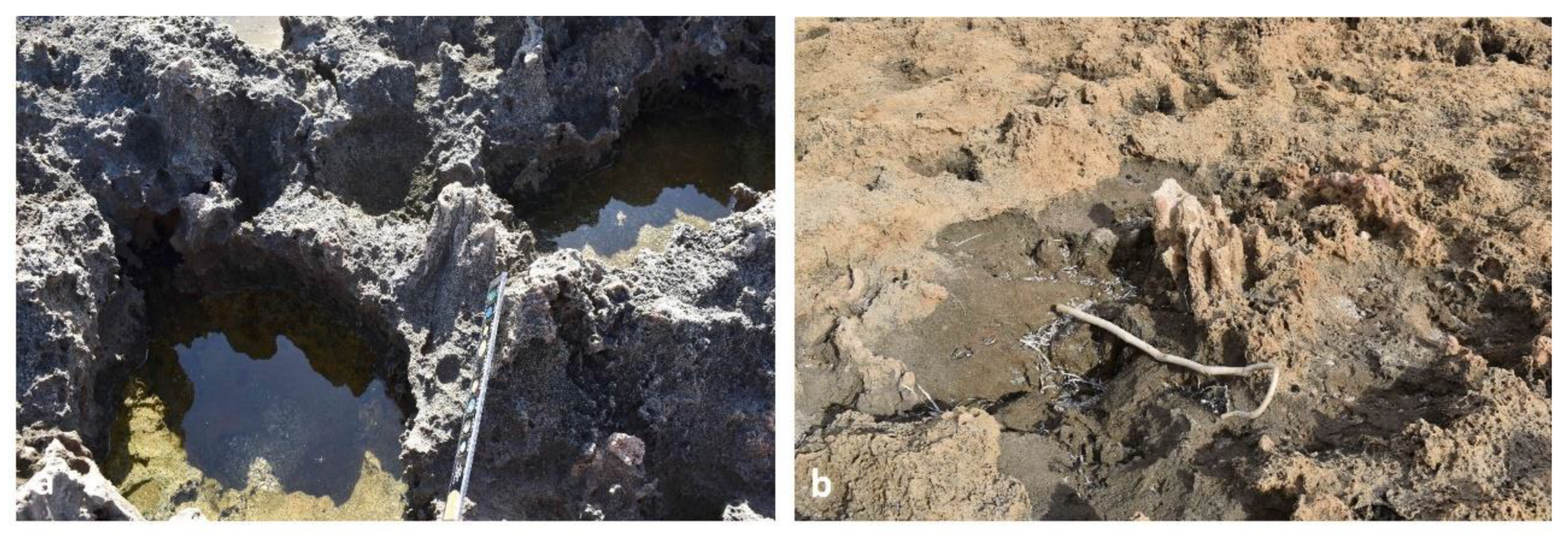 Preprints 156842 g014