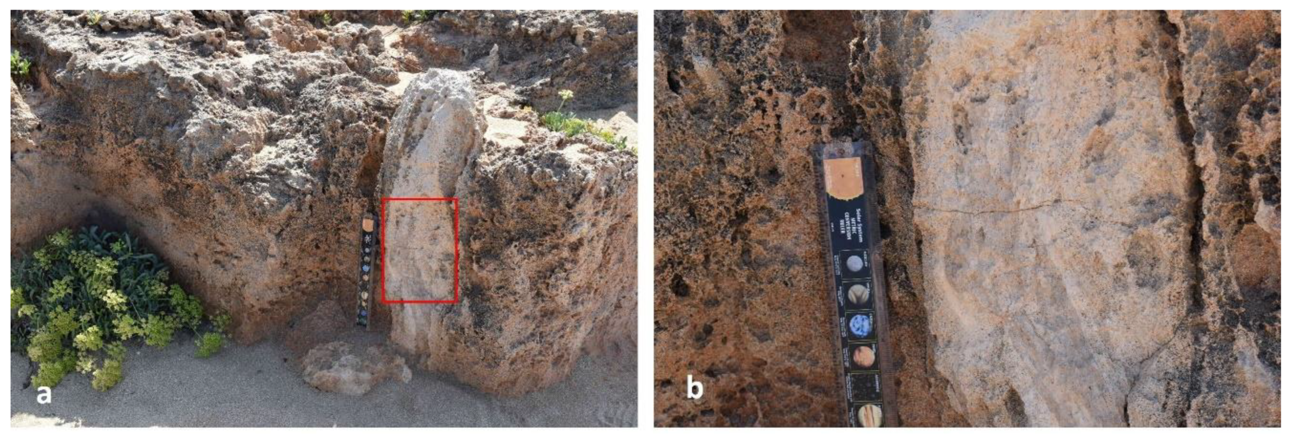 Preprints 156842 g015
