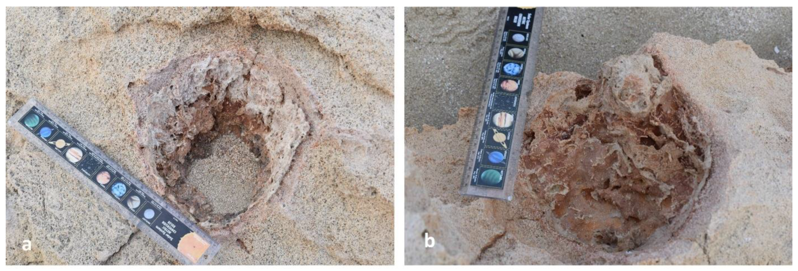 Preprints 156842 g017