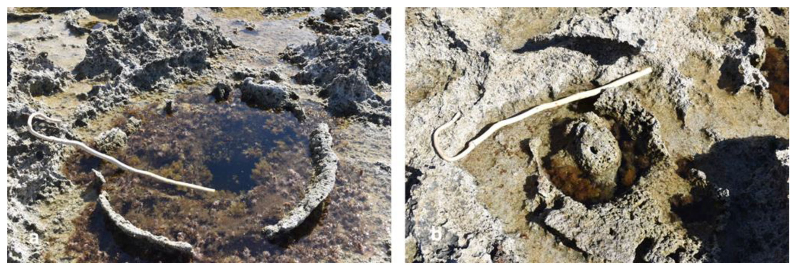 Preprints 156842 g018