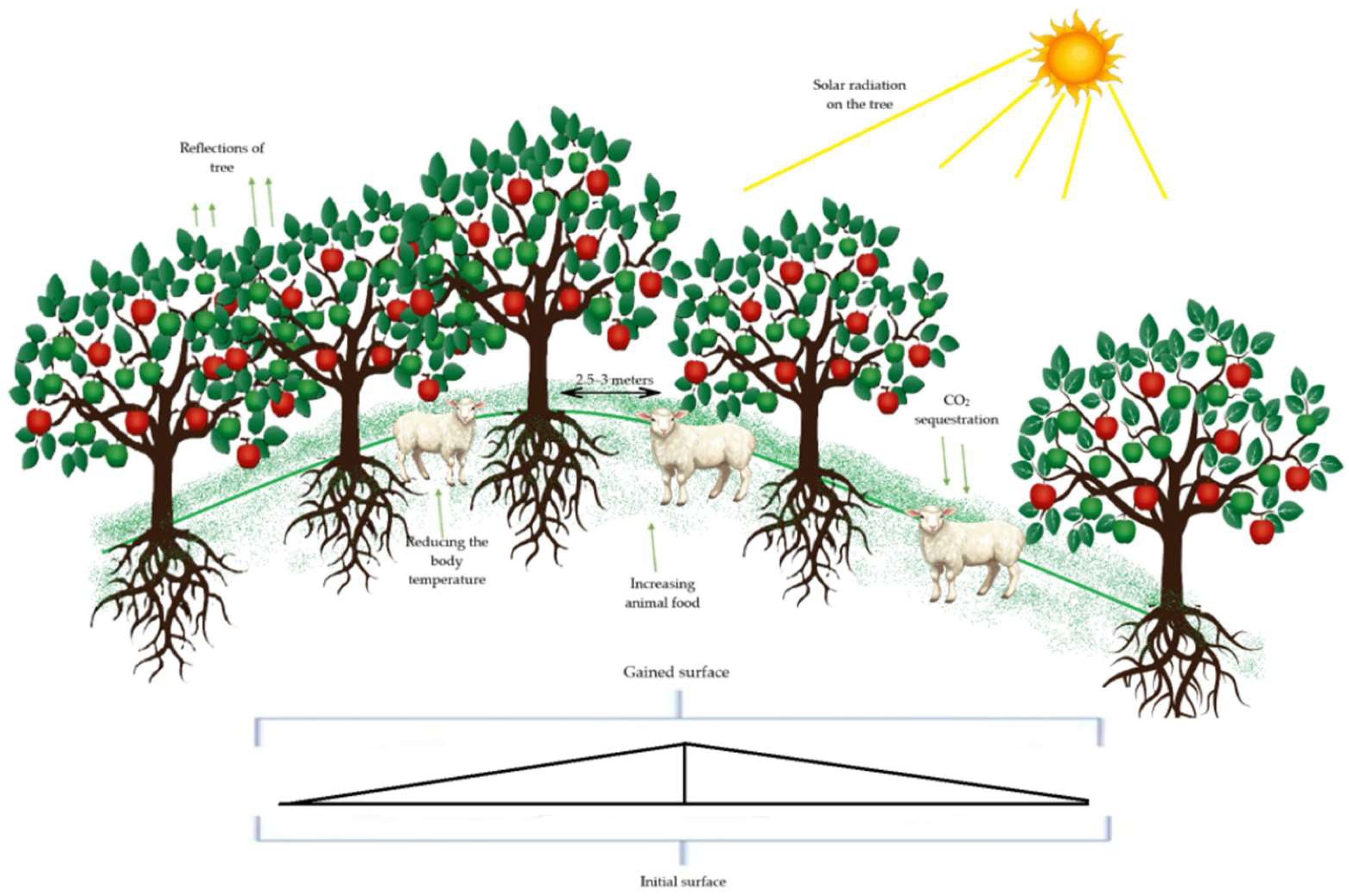 Preprints 163283 g004