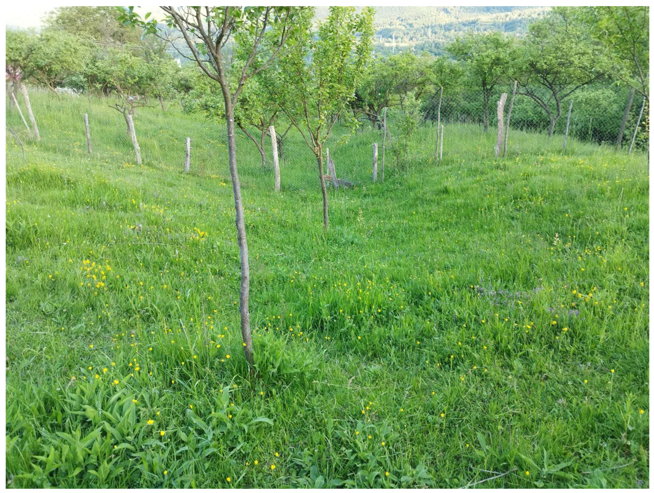 Preprints 163283 g010