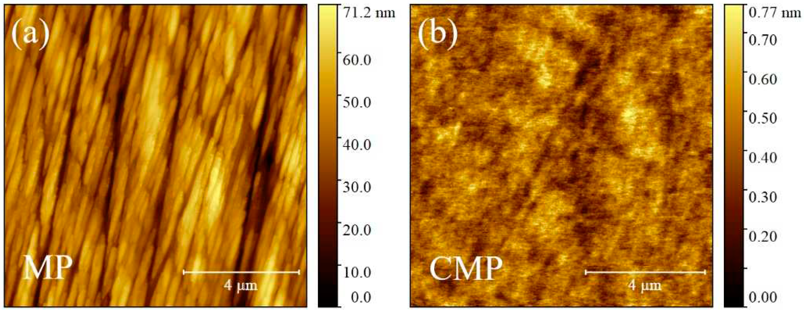 Preprints 93943 g001