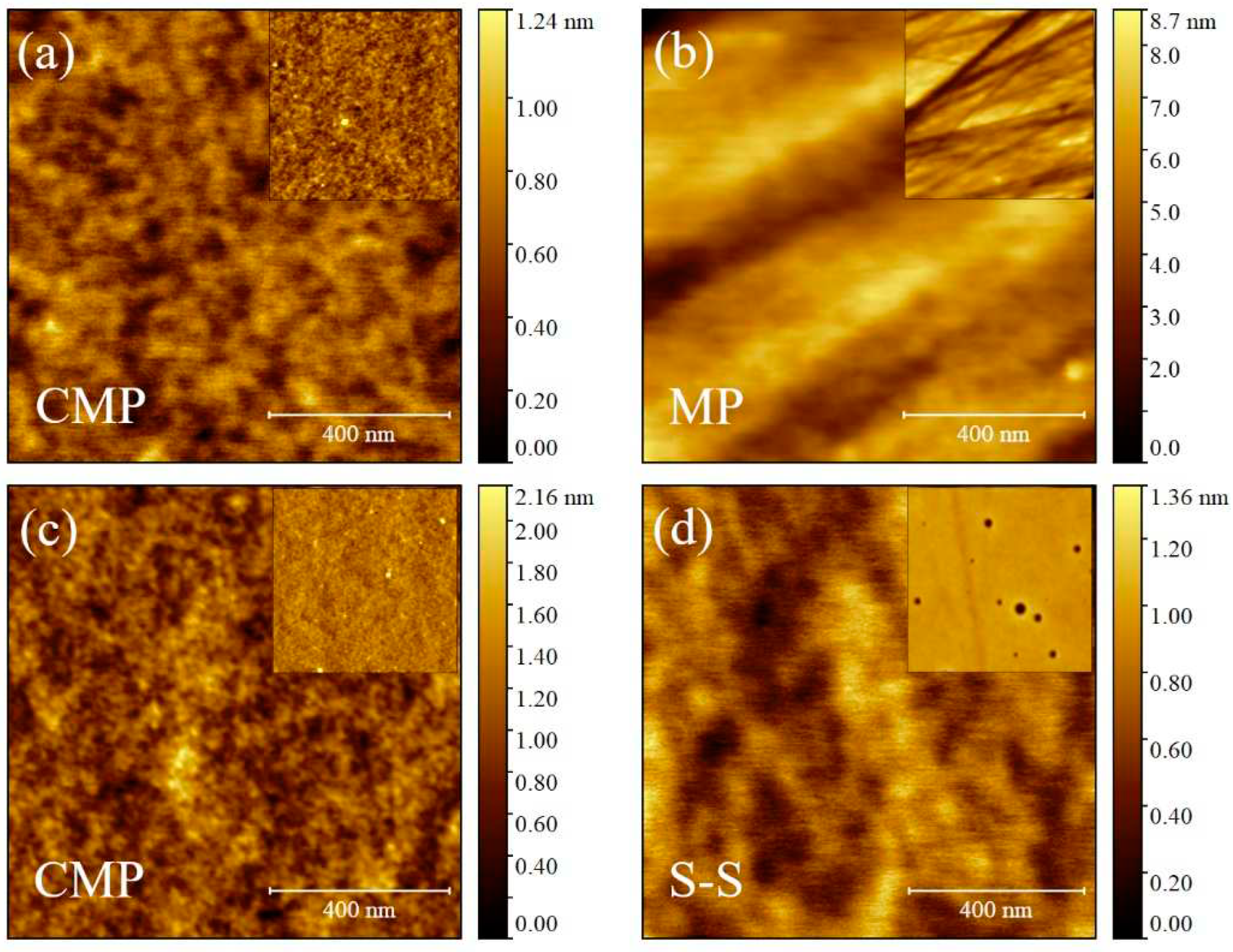 Preprints 93943 g004