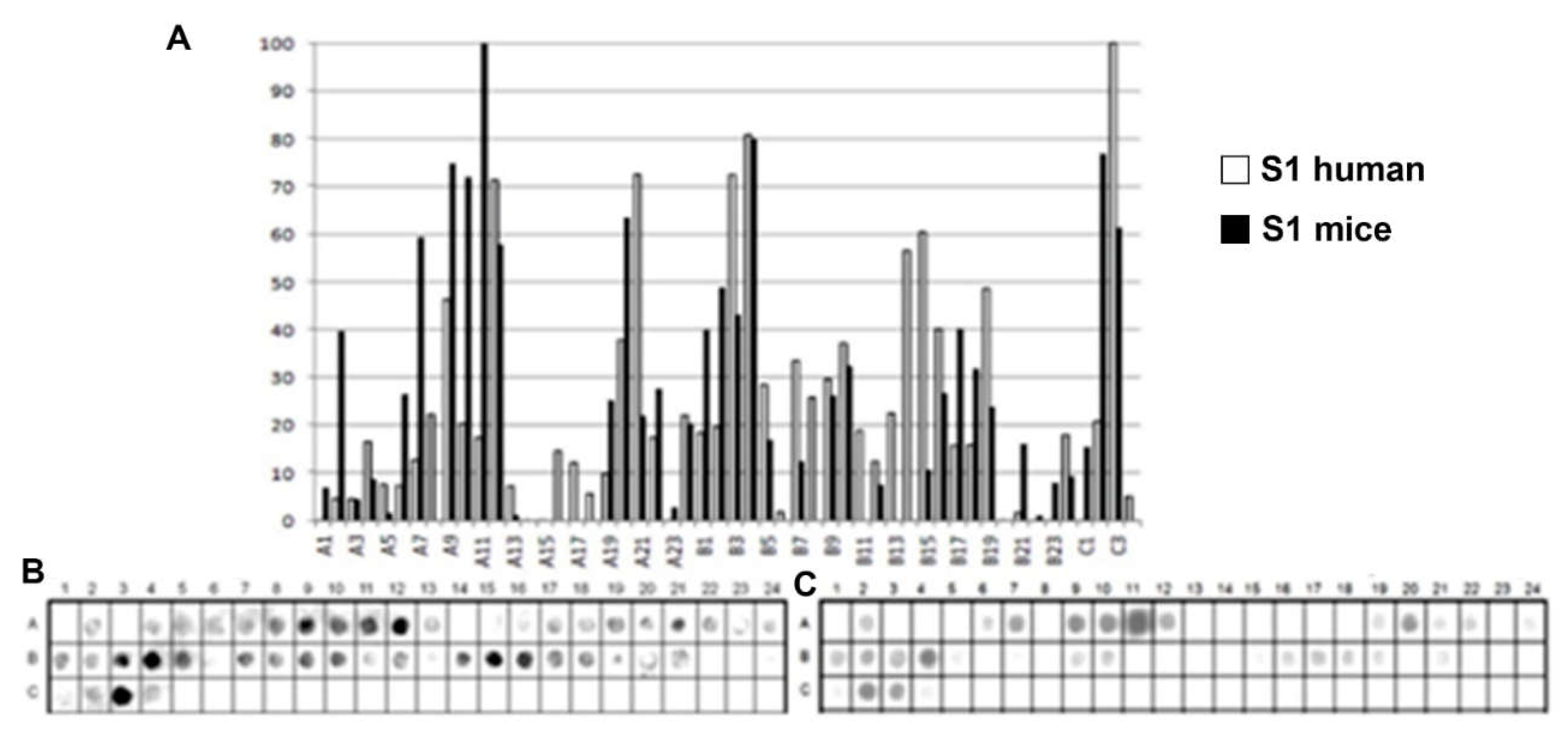 Preprints 199072 g001