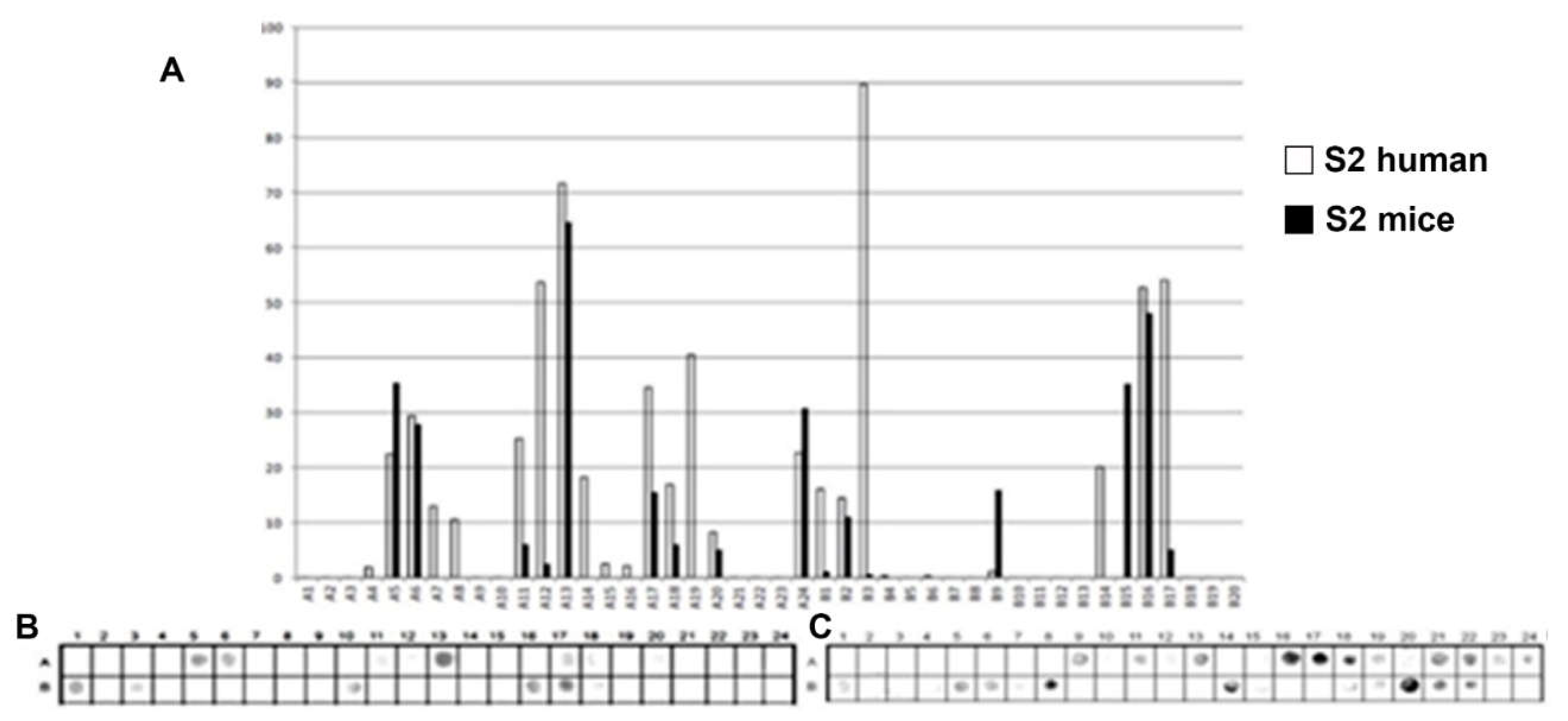 Preprints 199072 g002
