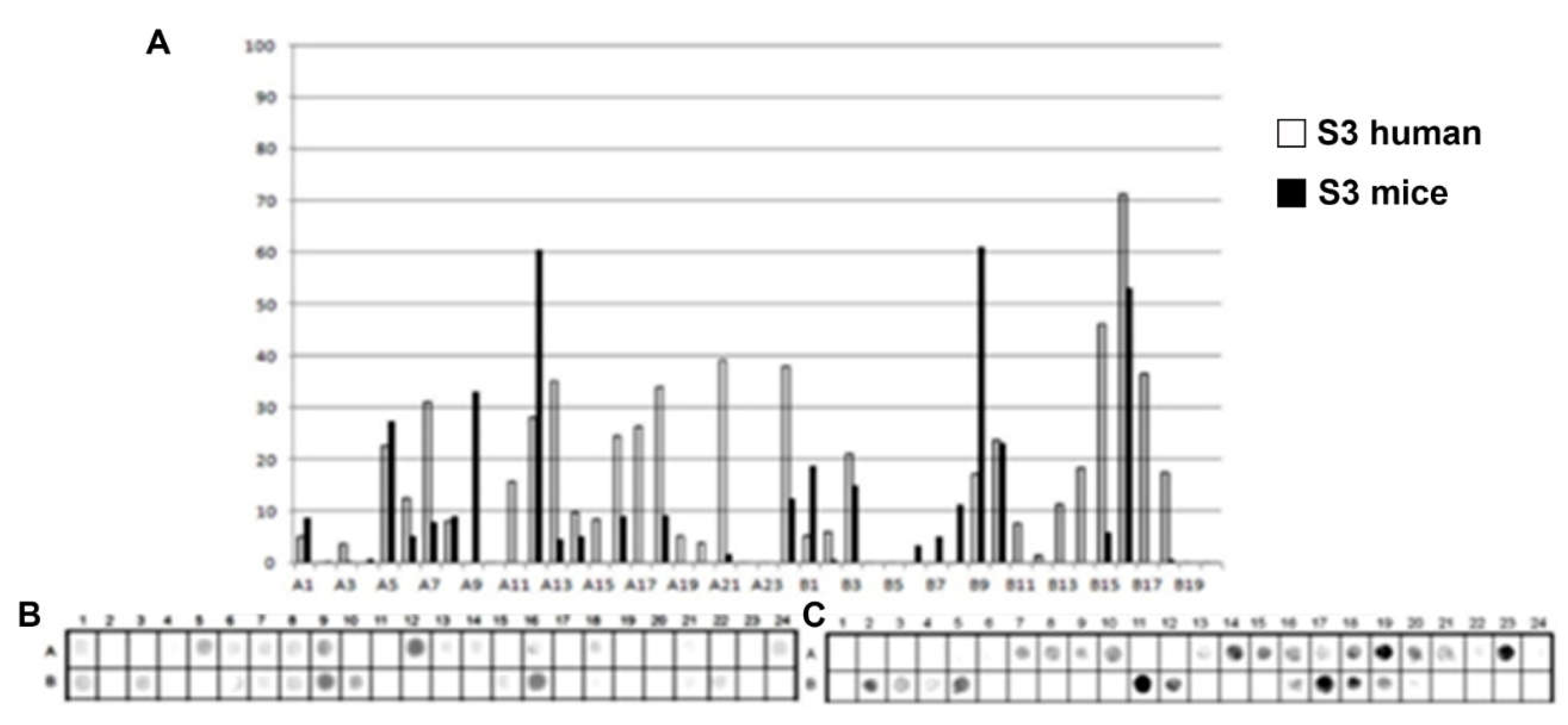 Preprints 199072 g003