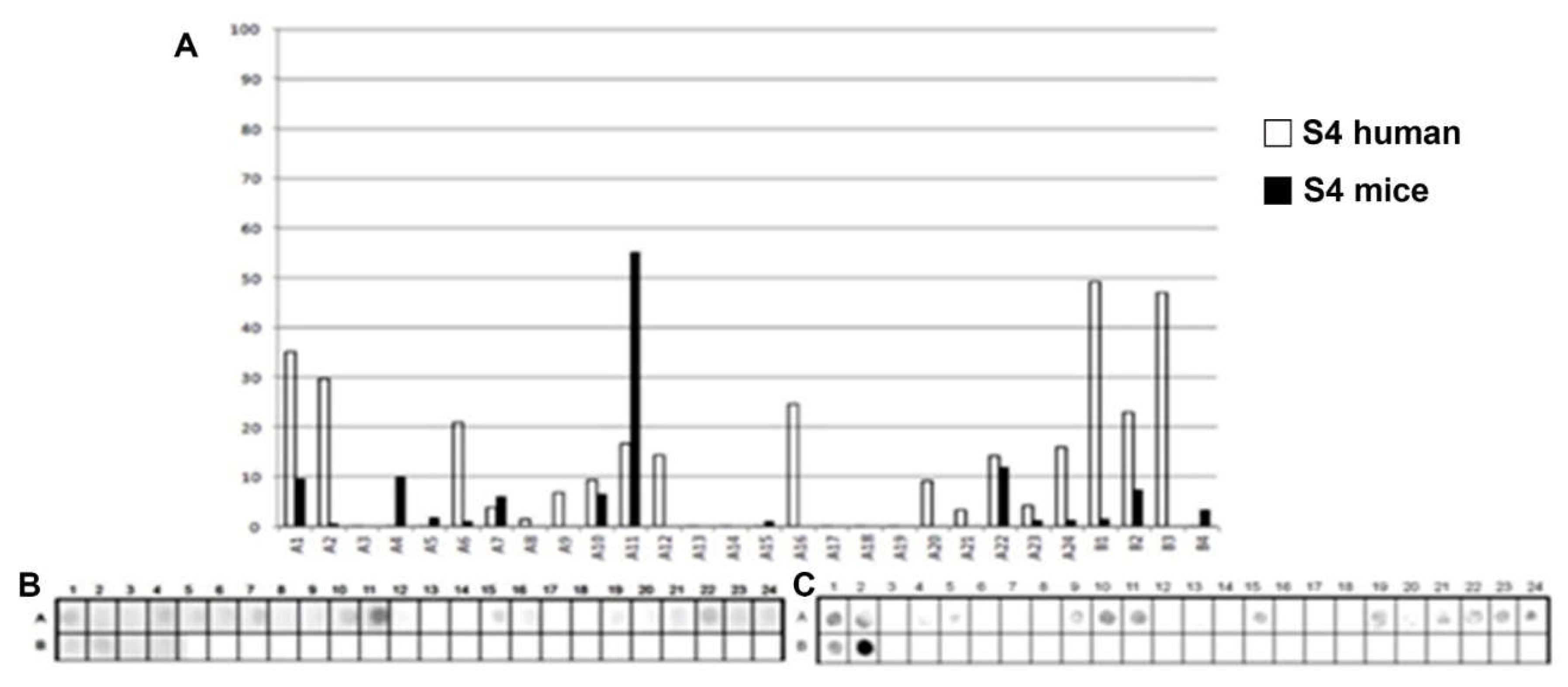 Preprints 199072 g004