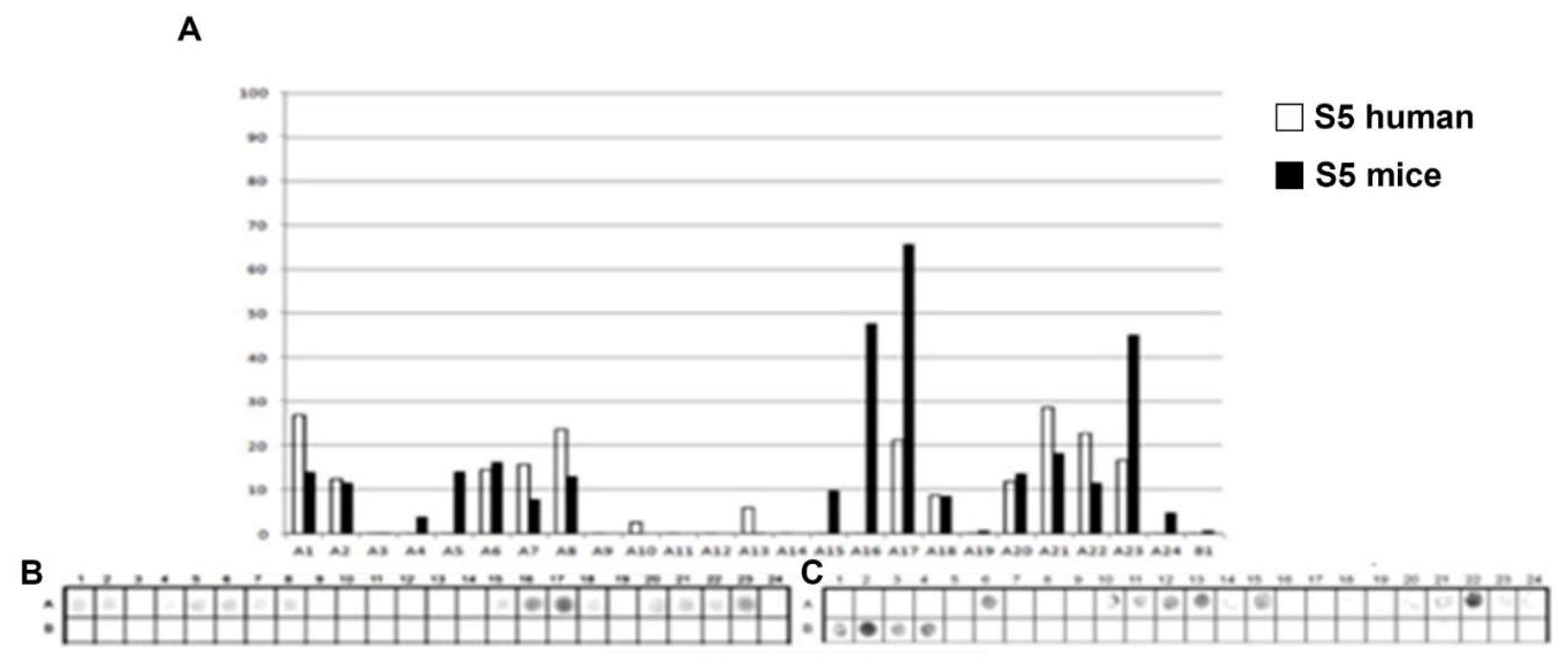 Preprints 199072 g005