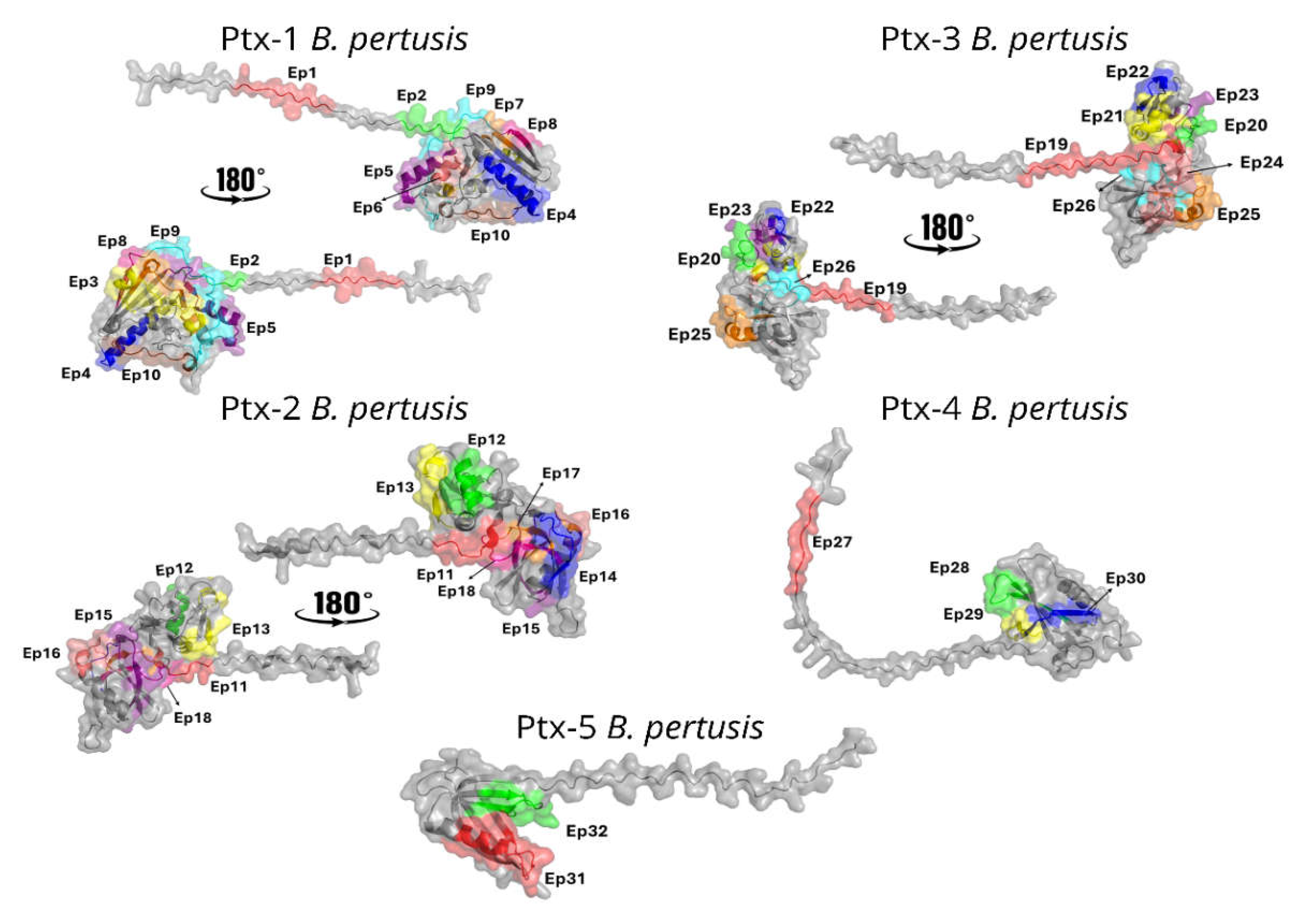 Preprints 199072 g006