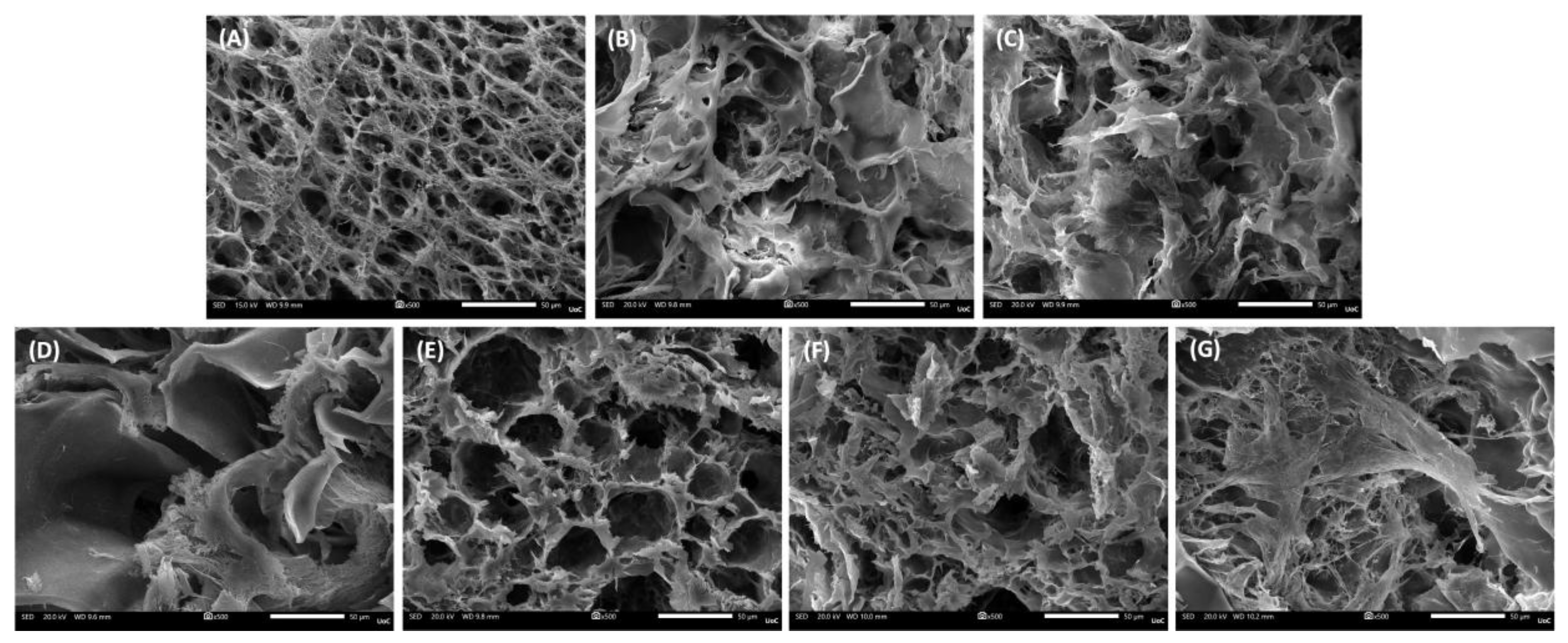 Preprints 188381 g002