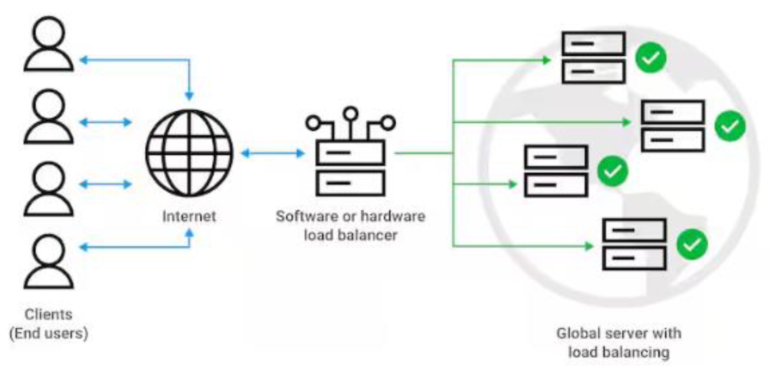 Preprints 146096 g005