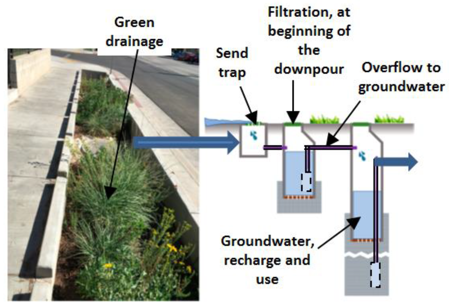 Preprints 192714 g005