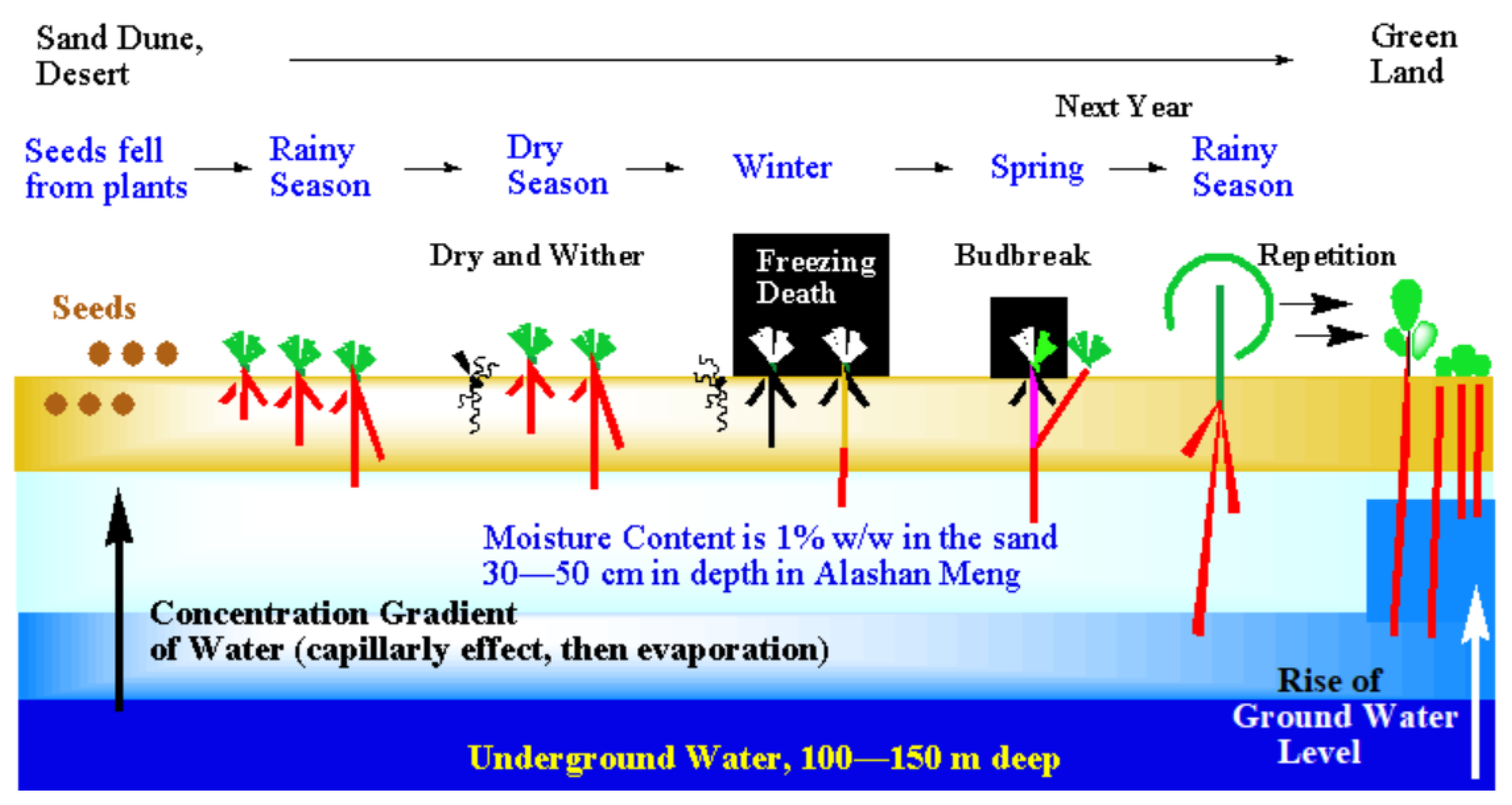 Preprints 121950 g002