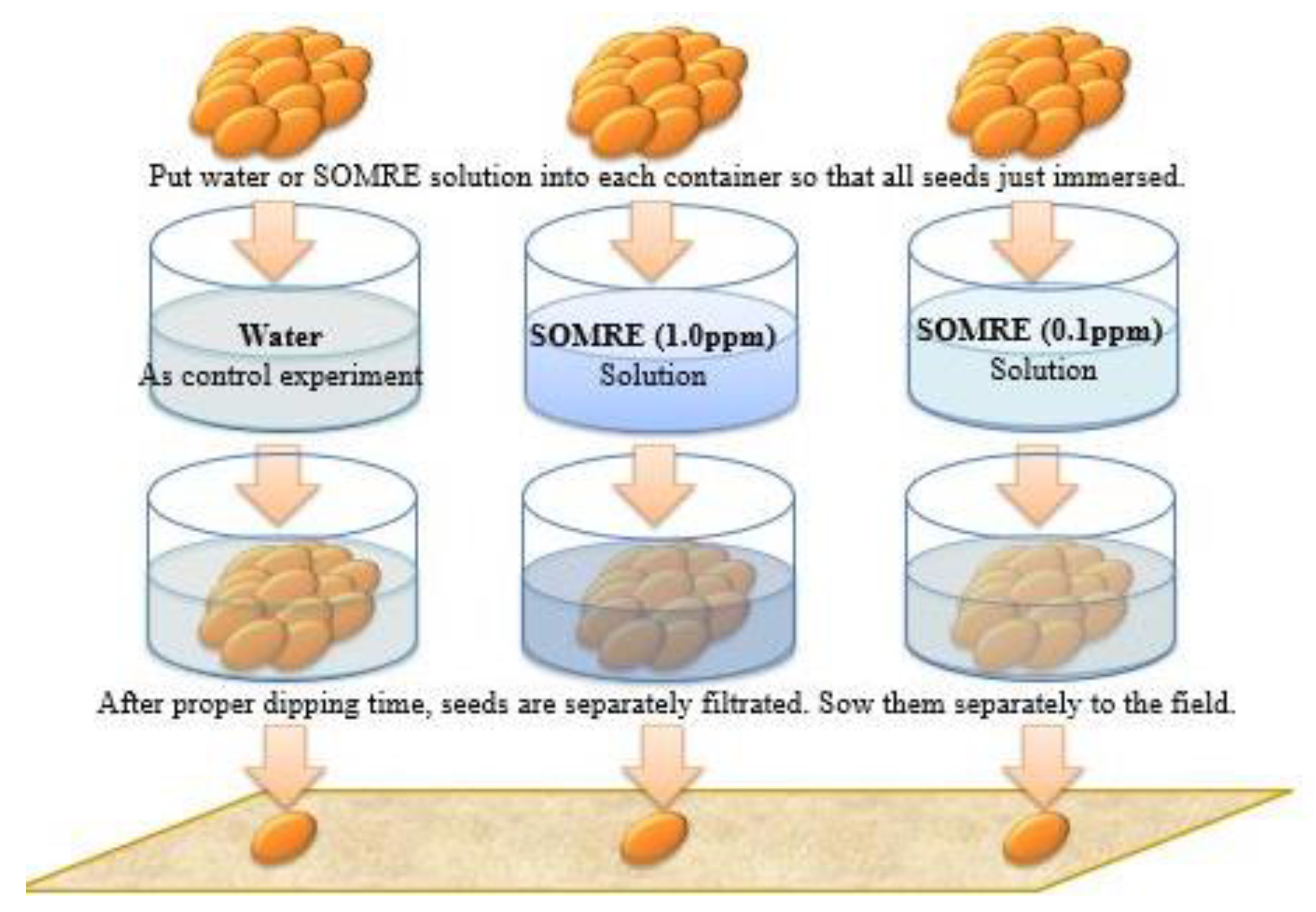 Preprints 121950 g003