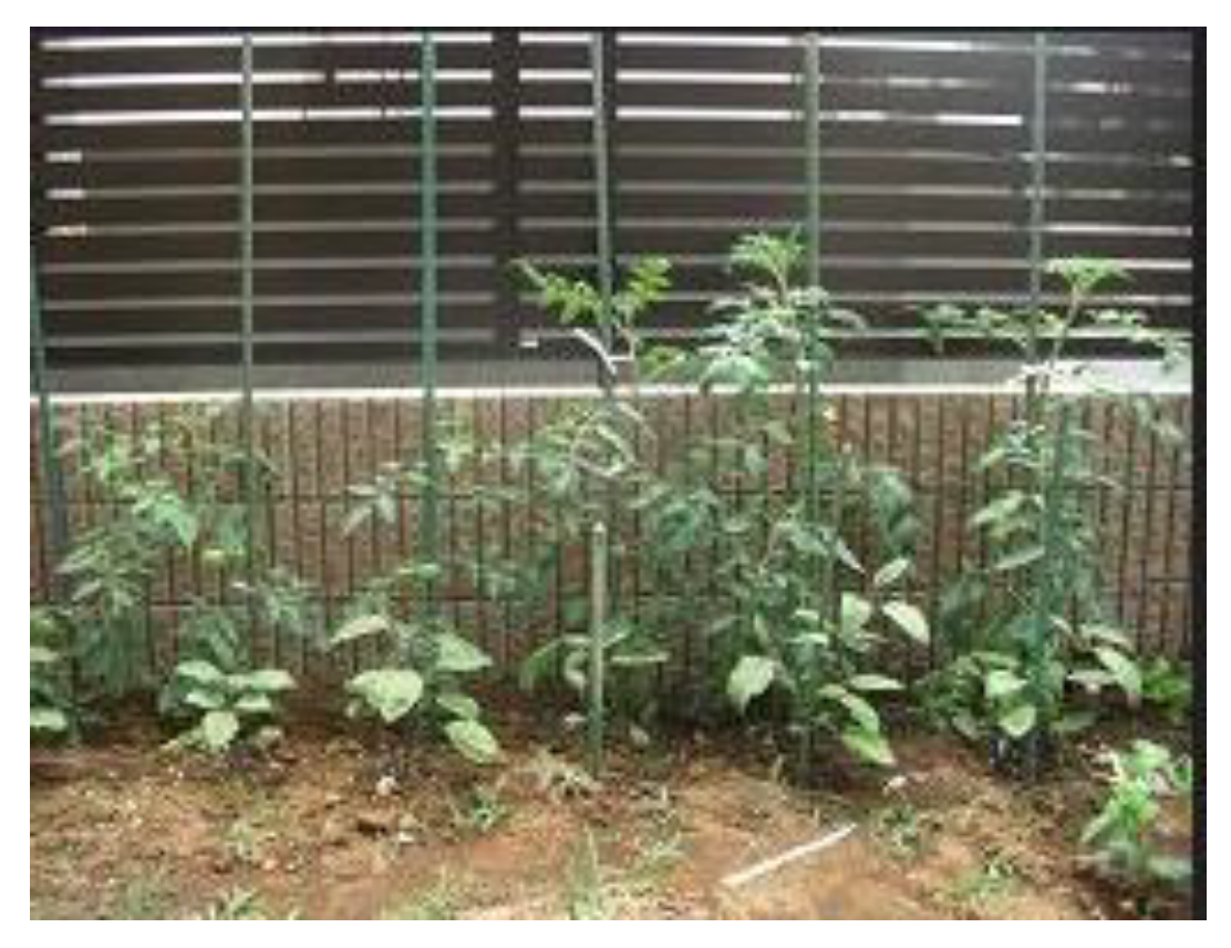 Preprints 121950 g004