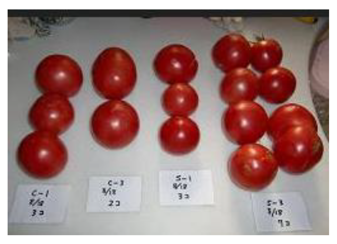 Preprints 121950 g005