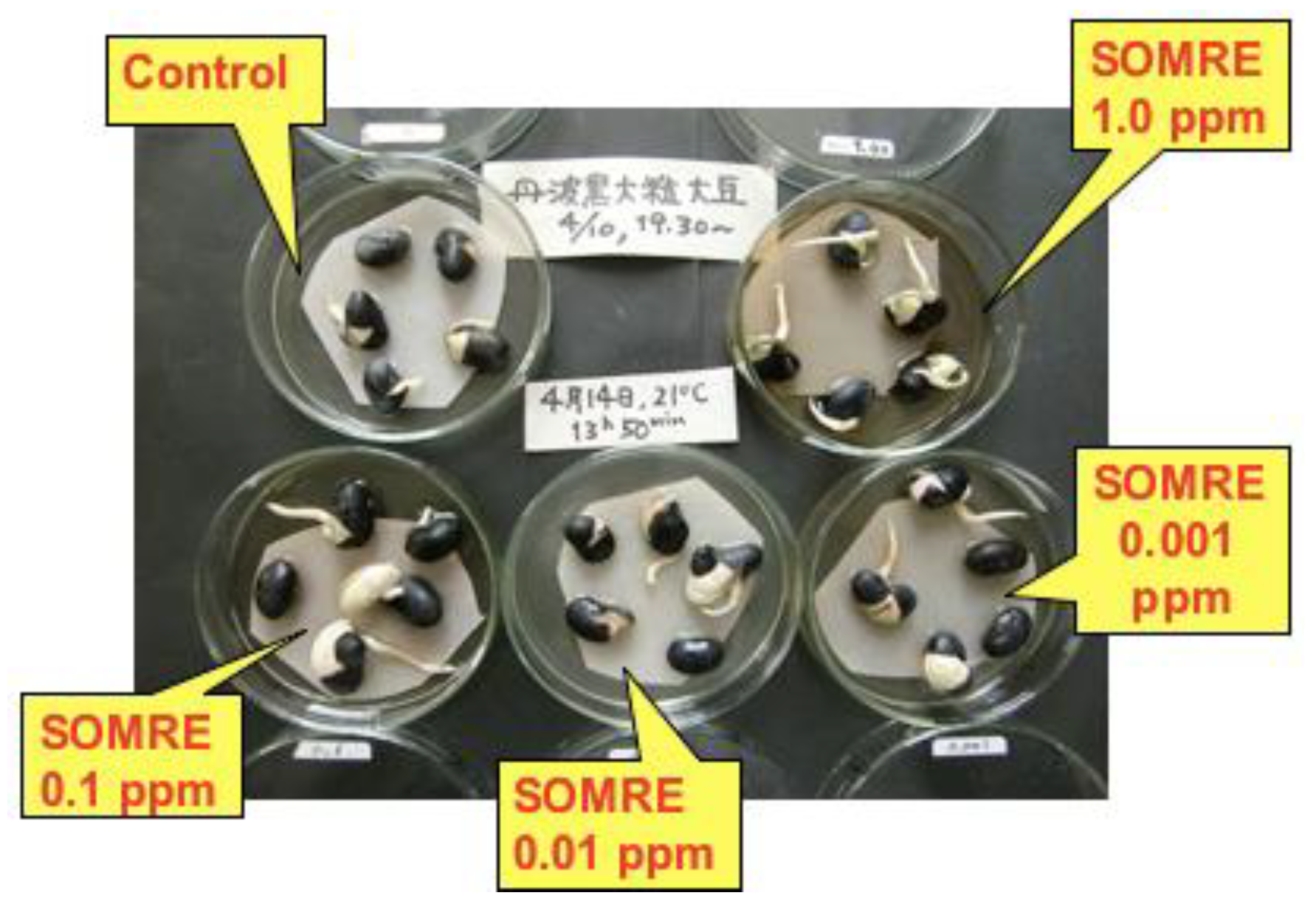 Preprints 121950 g007