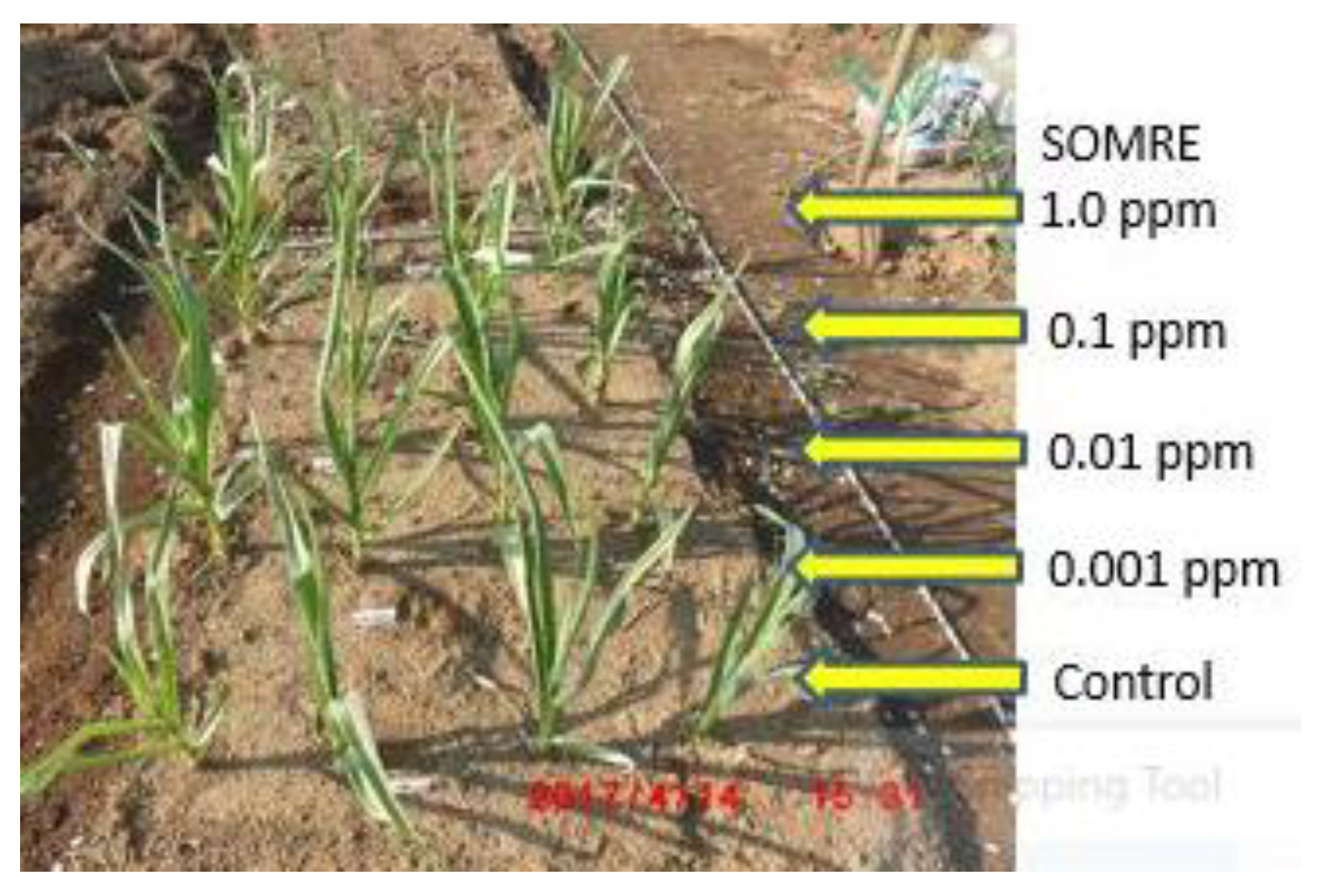 Preprints 121950 g009