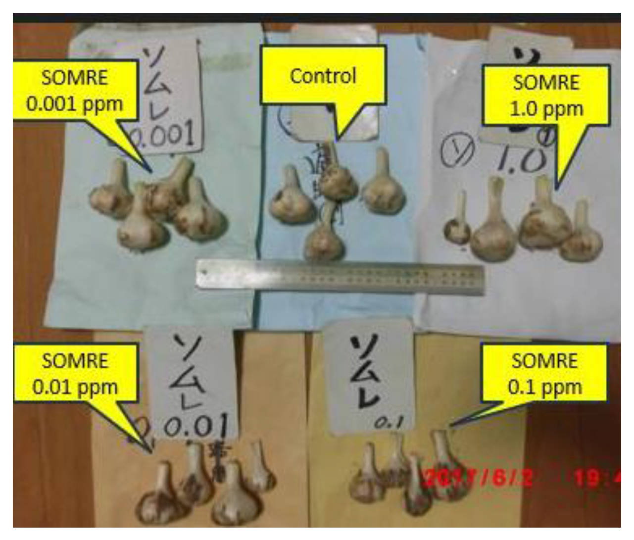 Preprints 121950 g010
