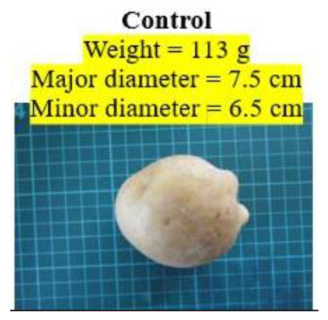 Preprints 121950 g013