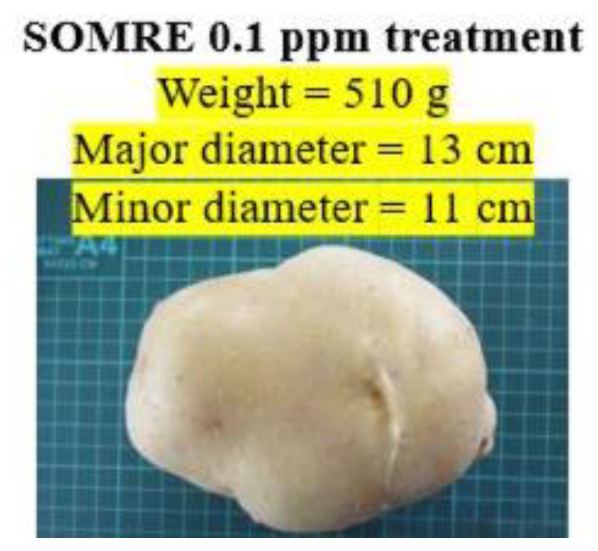 Preprints 121950 g014
