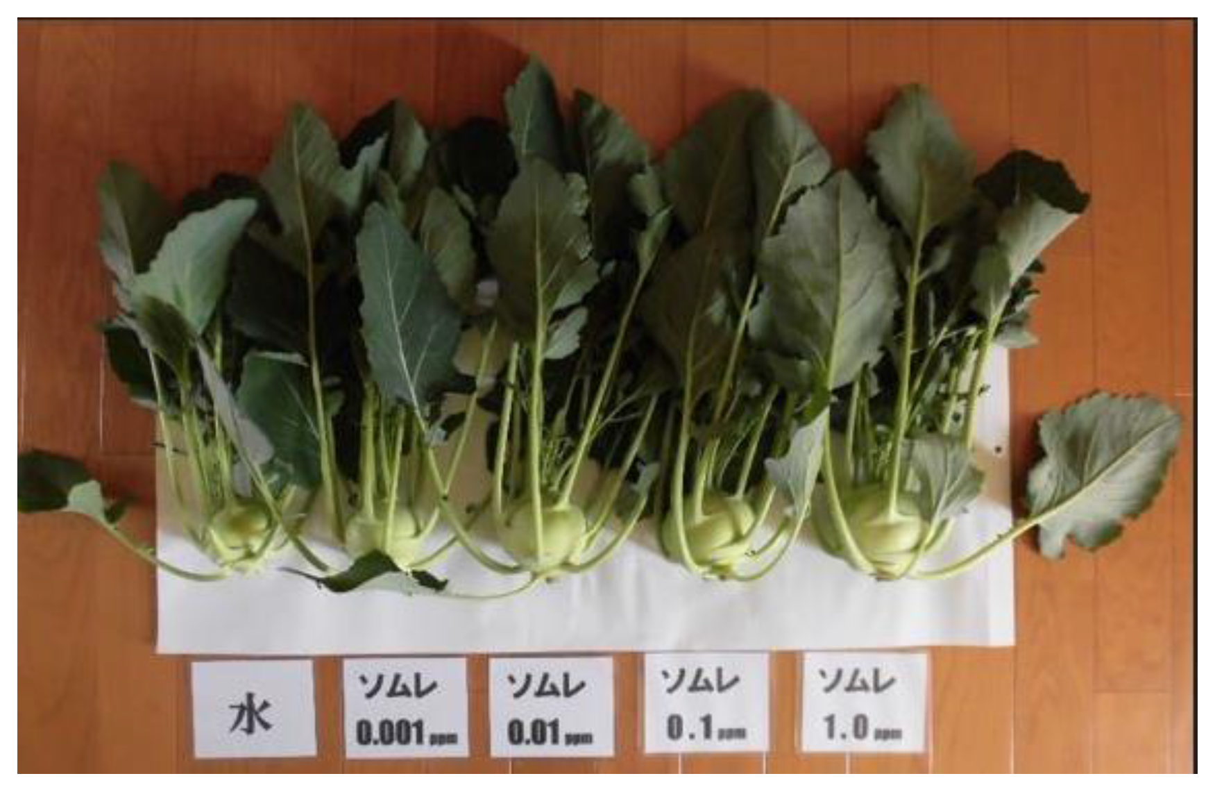 Preprints 121950 g016