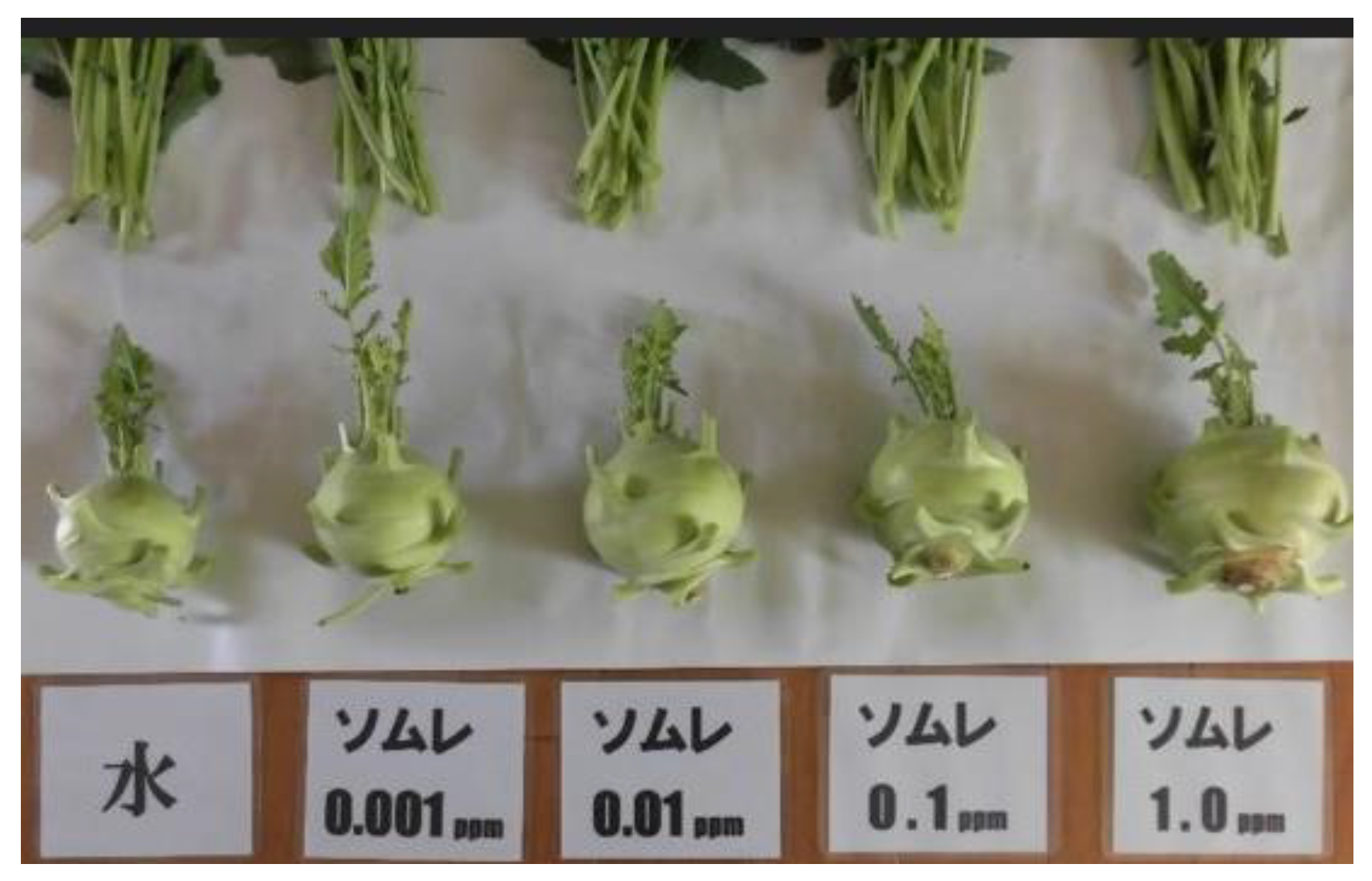 Preprints 121950 g017