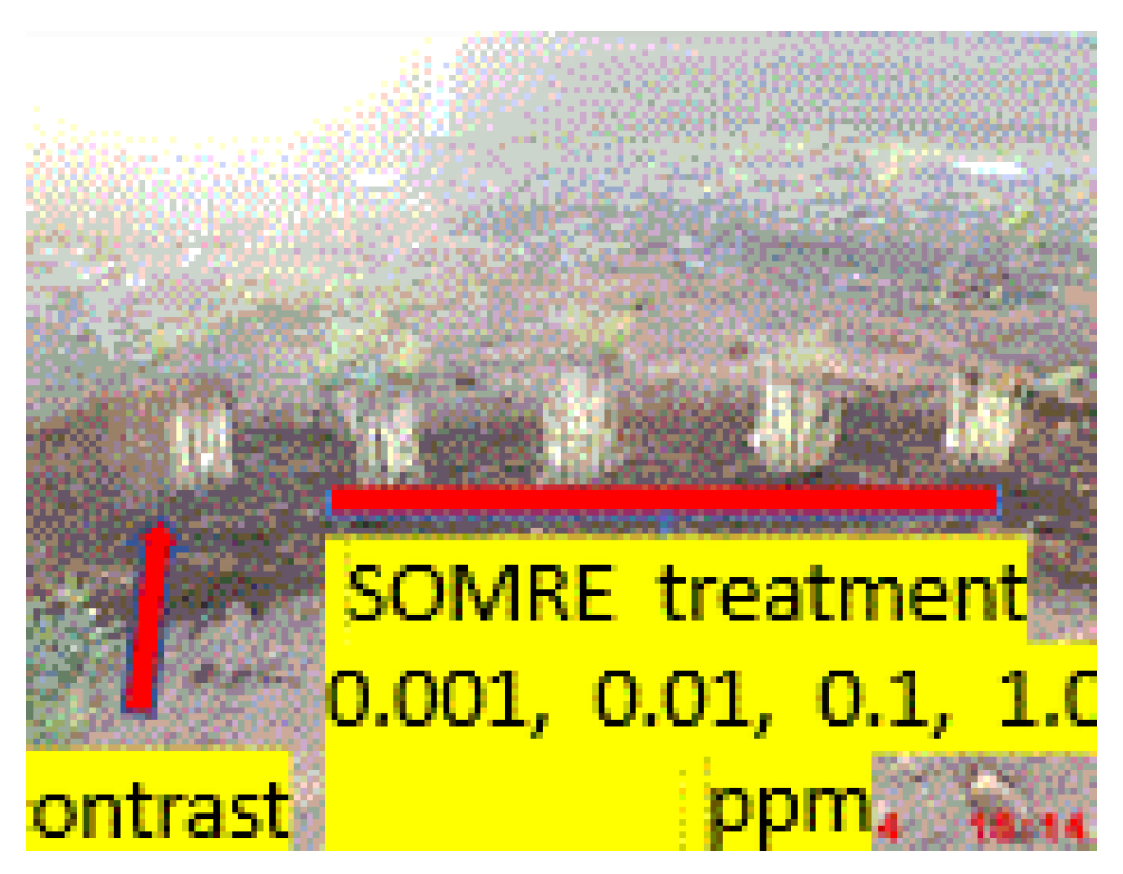 Preprints 121950 g018