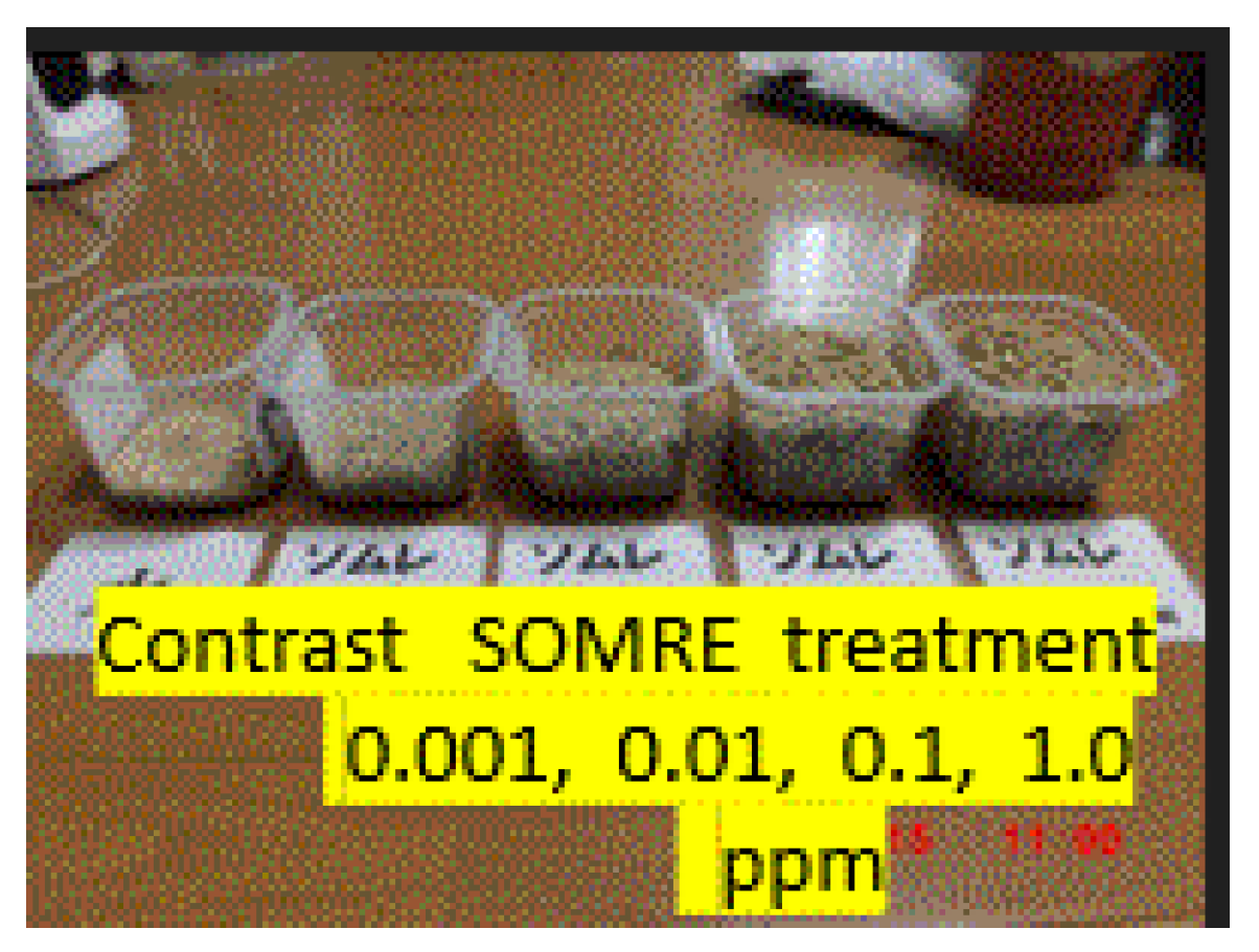 Preprints 121950 g023