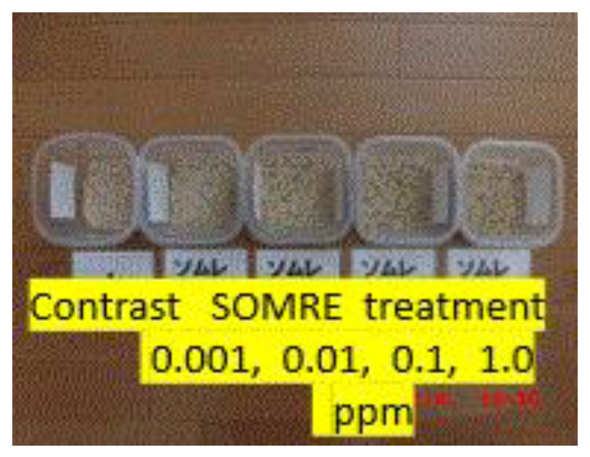 Preprints 121950 g024