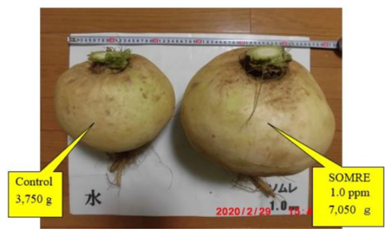 Preprints 121950 g028