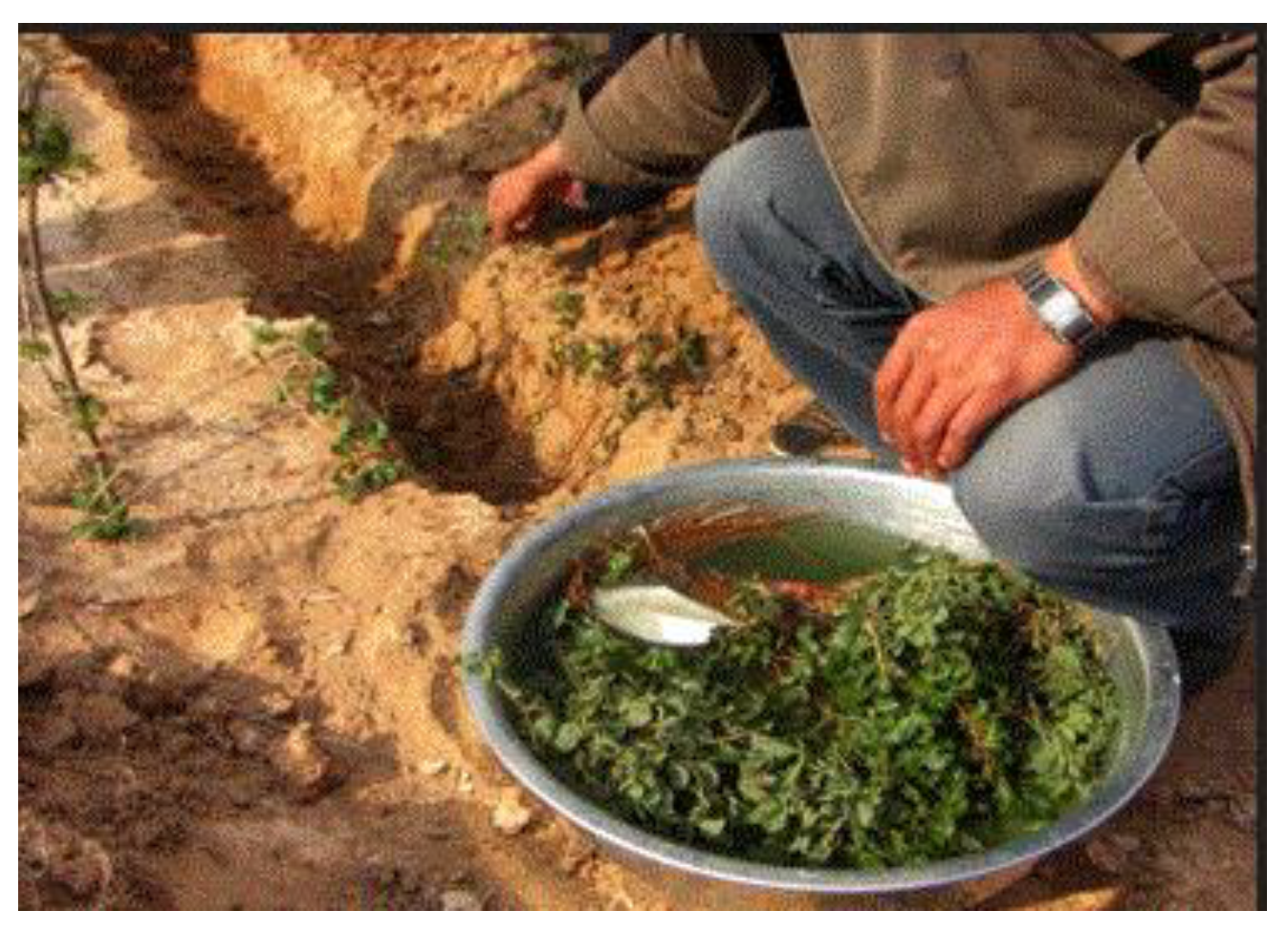 Preprints 121950 g032