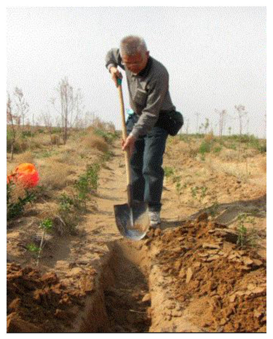 Preprints 121950 g033