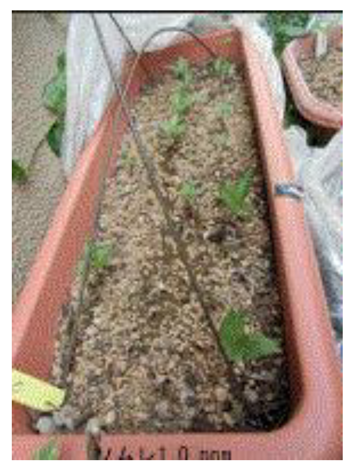 Preprints 121950 g037