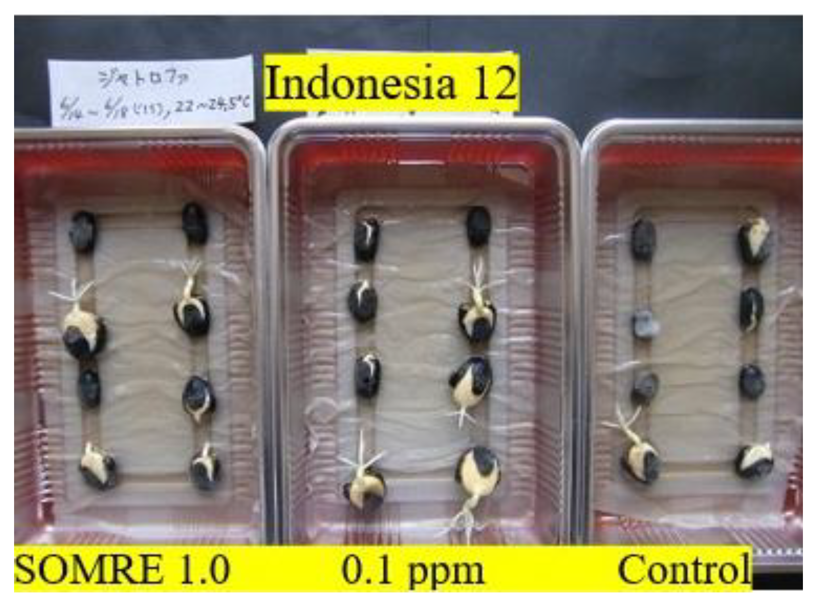 Preprints 121950 g039