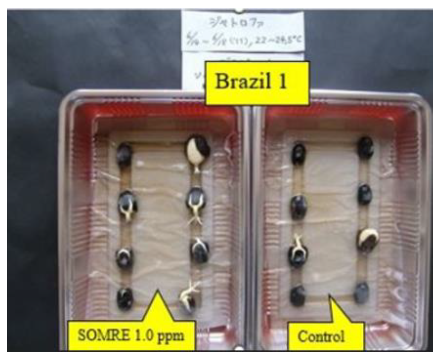 Preprints 121950 g040